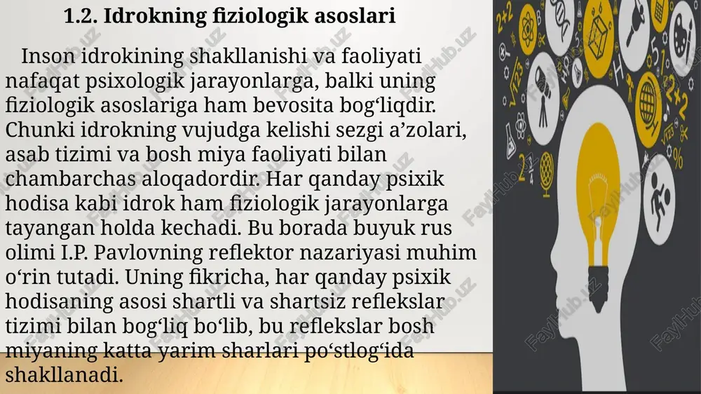 m sharlari po‘stlog‘ida shakllanadi. idrok jarayonida sezgi a’zolari orqali tashqi muhitdan kelayotgan ma’lumotlar avvalo retseptorlar — ya’ni maxsus sezuvchi tuzilmalar yordamida qabul qilinadi. ko‘z, quloq, teri, til va burun kabi sezgi organlari mos ravishda vizual, eshitish, teginish, ta’m va hid sezgilarini idrok qilishda ishtirok etadi. bu organlardan kelayotgan ma’lumotlar nerv tolalari orqali orqa miya va bosh miya markazlariga uzatiladi. aynan shu jarayonlar orqali tashqi olamdagi predmet va hodisalar haqida axborot shakllanadi idrok faoliyatida miya yarim sharlari po‘stlog‘i o‘rtasidagi o‘zaro bog‘lanishlar, ya’ni assotsiativ aloqalar muhim rol o‘ynaydi. chunki har qanday idrok jarayoni faqat bitta sezgi turiga emas, balki bir necha sezgilar kompleksiga asoslanadi. masalan, biror mevaning rangini ko‘rib, hidini sezib va ta’mini totib ko‘rganimizdagina biz uni to‘liq idrok qilamiz. bu esa miyada murakkab nerv aloqalari tizimining shakllanganligidan dalolat beradi. shuningdek, idrokning vaqt o‘tishi bilan takomillashib boruvchi xarakteri ham mavjud. inson yoshlikdan boshlab idrok faoliyatini hayotiy tajriba, bilimlar va ijtimoiy ta’sirlar orqali …