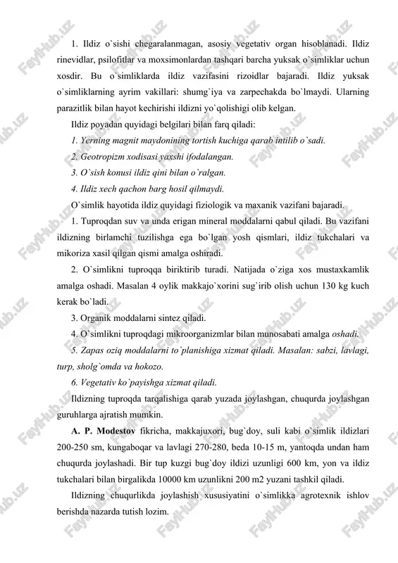 ing chuqurlikda joylashish xususiyatini o`simlikka agrotexnik ishlov berishda nazarda tutish lozim. 2. ildiz sistemasini klassifikatsiya qilishda uning kelib chiqishi, shoxlanishi va morfologik tuzilishi nazarda tutiladi. kelib chiqishiga ko`ra ildizlar 3 guruhga bo`linadi. 1. asosiy ildiz. 2. yon ildiz. 3.qo`shimcha ildizlar. asosiy ildiz urug`ning murtak qismidagi murtak ildizchasining rivojlanishidan hosil bo`ladi. asosiy ildizdan hosil bo`ladigan ildizlarni birinchi tartibli yon ildizlar, birinchi tartiblidan hosil bo`lganlarni ikkinchi tartibli, uchinchi tartibli va hokazo. qushimcha ildizlar yer osti o`zgargan novdalar, piyozboshlar, tuganaklar va ildizpoyalardan hosil bo`ladi. asosiy, qushimcha va yon ildizlar o`simlikning ildiz sistemasini hosil qiladi. tuzilishiga ko`ra o`q va popuk ildizlar hosil bo`ladi. o`q ildiz ikki pallali o`simliklar uchun xos bo`lib unda asosiy ilidz yaxshi rivojlangan bo`ladi. popuk ildizda asosiy ildiz yaxshi rivojlanmaydi, uning o`rniga yon ildizlar taraqqiy etgan bo`ladi. bunday ildizlar bir pallali o`simliklar uchun xosdir. 3. ildiz metomorfoziga ildiz mevalar kiradi (sabzi, lavlagi, turp, sholg`om). ildizmevalar 3 qismdan tuzilgan bo`ladi. bosh, bo`yin …