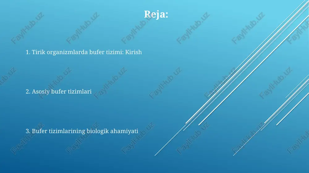 bufer tizimlari - Page 2