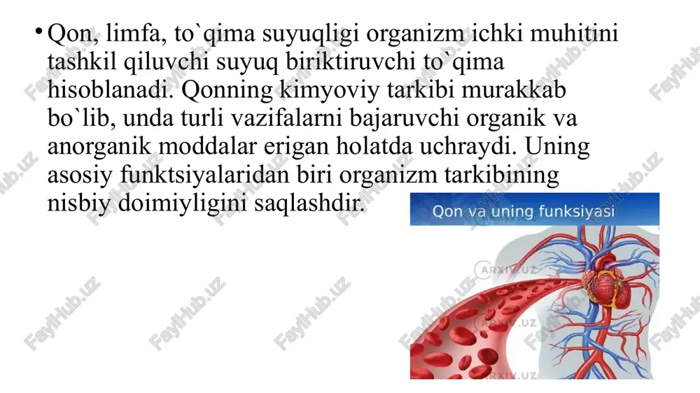 bo`lmaydi. tibbiyot amaliyotida tashxis va davolash maqsadlarida qon, plazma va zardobdan keng foydalaniladi. qon plazmasi tarkibining 90% suv, 7-8% oqsil, 0,1% qand, 0,9% mineral tuzlardan iborat. eritrotsitlar qon hujayralarining asosiy qismini tashkil etadi, ularning yashash muddati o`rtacha 4 oy. eritrotsitlarda yadro, ribosoma, mitoxondriya singari hujayra organoidlari bo`lmaganligi uchun ularda oqsillar sintezlanmaydi, aerob oksidlanish jarayonlari yo`q. ular asosan glikoliz jarayonida ishlanadigan anaerob tipdagi energiyadan foydalanadi. qonning barcha eritrotsitlari 1 soat davomida 0,7 g atrofida glyukoza iste’mol qiladi. eritrotsitlarni faoliyat ko`rsatishida qon plazmasi bilan eritrotsitlardagi moddalar kontsentratsiyasi farqini saqlanishi, faol transporti amalga oshirilishida membranalarda atf energiyasi bo`lishi shart. eritrotsitlar kislorod tashuvchi vazifasini bajarishida zaharli ta’sirlardan va boshqa oksidlovchi moddalar ta’siridan saqlanishi uchun atf energiyasidan tashqari nadh2 va nadfh2 kofermentlari kerak. eritrotsitlarning bu omillarga bo`lgan ehtiyoji eritrotsitlarda kechadigan anaerob glikoliz va glyukozaning pentozofosfat yo`li bilan parchalanish jarayonlari hisobiga ta’minlanadi. gemoglobin tarkibidagi temir fe+2 ko`rinishida bo`ladi. kislorod va boshqa oksidlovchi moddalar ta’sirida gemoglobin tarkibidagi …