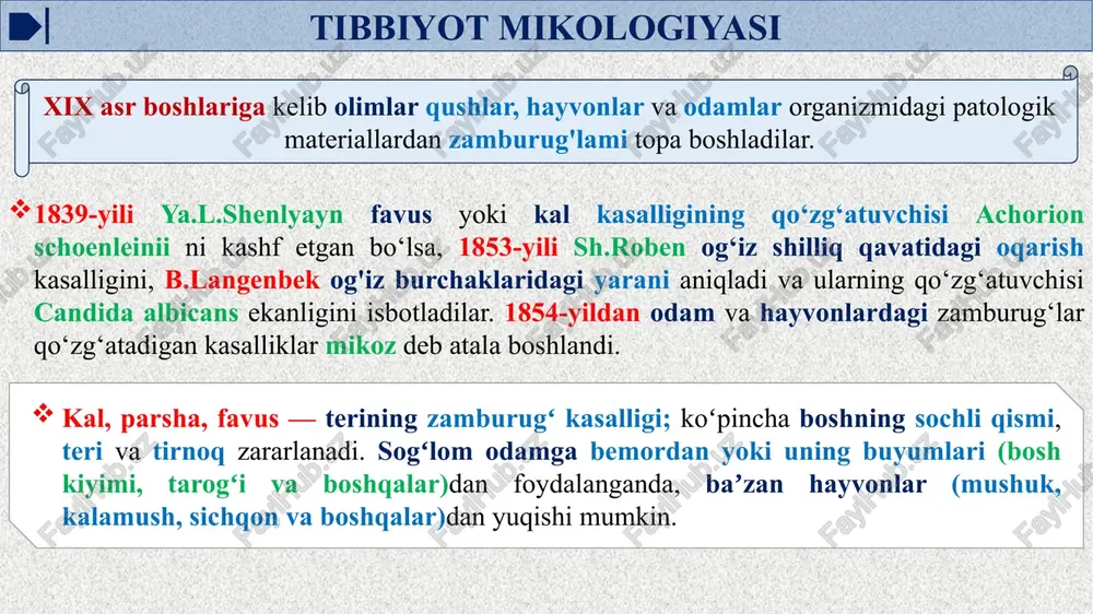 amlarda kasalliklarni keltirib chiqaradi, ya’ni patogendir. hozirgi vaqtda zamburug'laming 100 dan ortiq patogen turlari ma’lum. deuteromycete morfologiyasi va tuzilishi zamburug'lar yosh kulturasining hujayrasi dumaloq, tuxumsimon, yetilgan hujayralari esa noksimon, duksimon va amyobaga o'xshash bo'lishi mumkin. ko'pchiligi esa silindrik hujayralarining birlashishidan mitseliy hosil qiladi. zamburug'lar tuzilishi bo'yicha «suv o'tlariga o'xshash bo'lib, ajralib turadi, bir yoki bir necha yadro, hujayra devori va sitoplazmatik pardadan iborat. yosh kulturalarning sitoplazmasi gomogen bo'lib, yetilganlari donachalardan tashkil topgan. sitoplazmasida mitoxondriya, golji apparati, vakuola, turli kiritmalar (glikogen, volyutin, lipid, organik tuzlaming kristallari, pigmentlar) bor. zamburug‘lar hujayrasining struktural komponentini mitseliular tashkil etadi. ular shoxlangan rangsiz, yo‘g‘onligi 1-10 mkm, uzunligi 4-70 mkm, iplardan (giflardan) iborat. zamburug‘laming ayrim turlaridagi mitseliylar bo‘g ‘insiz hujayralardan (mucor), ayrim oliy zam burugiar rnitseliylari ko‘p hujayrali, achitqisimon zamburugiarda esa (candida) soxta mitseliylar b o ‘ladi. ayrim zarnburug'larda konidorflar murakkab bo’lib , o‘ziga xos mikroskopik tuzilishga ega. masalan: aspergillus konidorflari gifning uchida joylashgan bo’lib, pufakchaga o‘xshaydi …
