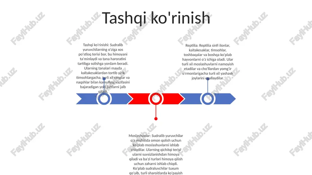 inadi: anapsida, diapsida, synapsida va parareptilia. anapsida temporal fenestrae yo'q, diapsida esa har bir orbita orqasida ikkita temporal fenestra mavjud diyet va ovqatlanish odatlari yirtqich sudralib yuruvchilar: ilonlar, kaltakesaklar va timsohlar kabi ko'plab sudraluvchilar yirtqichlar bo'lib, turli hayvonlar, jumladan hasharotlar, amfibiyalar, qushlar va hatto boshqa sudraluvchilar bilan oziqlanadi. o'txo'r sudralib yuruvchilar: toshbaqalar va iguanalar kabi sudralib yuruvchilar o'txo'r bo'lib, asosan o'simliklar, mevalar va sabzavotlar bilan oziqlanadi. omnivor sudralib yuruvchilar: gekkonlar va ilonlarning ba'zi turlari kabi sudralib yuruvchilar hamma bilan oziqlanadi va hayvonlar va o'simlik materiallarini o'z ichiga olgan aralash ovqatlanishga ega. yashash joylari va tarqalishi yashash joylari: sudralib yuruvchilarni turli xil yashash joylarida, jumladan o'rmonlarda, o'tloqlarda, cho'llarda, botqoq erlarda va suv muhitida topish mumkin. ular turli xil sharoitlarga moslashgan, ba'zi turlar haddan tashqari haroratlarda yoki suv ta'minoti cheklangan hududlarda o'sishi mumkin. tarqalishi: sudralib yuruvchilar turlari antarktidadan tashqari butun dunyoda tarqalgan. ular tropik va subtropik mintaqalarda eng xilma-xil bo'lib, ular mos …