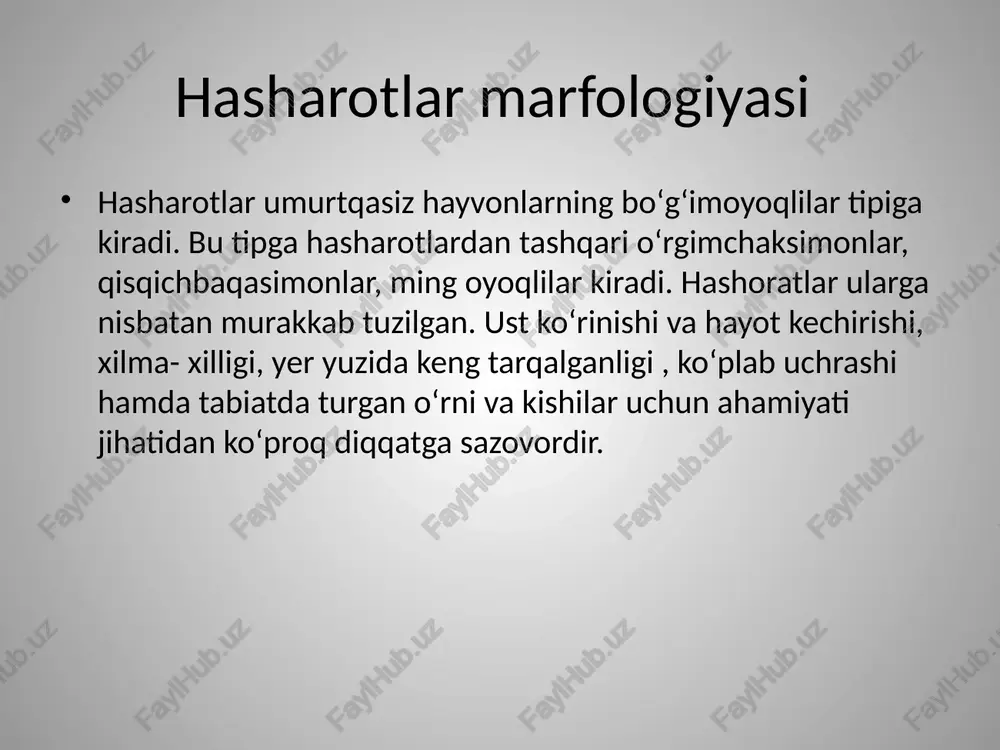 : tuxum, lichinka, g’umbak va yetuk hasharotlar. tuxumdan kemiruvchi og’iz aparatli va chuvalchangsimon lichinka ochib chiqadi. u rivojlanib, yetuk zotga bir oz o’xshash, lekin harakatlanmaydigan g’umbakka aylanadi. muhammadali (m) - gʻumbak esa kelgusida yetuk hasharotga aylanadi. toʻliq oʻzgarish bilan rivojlanuvchi hasharotlarga qoʻngʻizlar, kapalaklar, pashshalar, chivinlar, burgalar va parda qanotlilar kiradi. lichinka xillari 3 xil: kompodeosimonlar chuvalchangsimonlar qurtsimonlar kampodeasimon tipdagi lichinkalar uchun tananing choʻziq, yassi formali boʻlishi, koʻkrak oyoqlarining uzunligi va ogʻiz organlarining taraqqiy etmaganligi hamda ularning oldingi tomonga oʻrnashganligi harakterlidir. yirtqich hasharotlarning, shu jumladan tugmacha qoʻngʻizlar, toshqoqlar va boshqalarning lichinkalari shunday tuzilishga ega. qurtsimon tipdagi lichinkalar chuvalchangsimon tipdagilarga oʻxshash boʻladi. ularning gavdasi chuvalchangsimon formali boʻlib, bosh qismi aniq ajralgan, lekin 3 juft haqiqiy koʻkrak oyoqlaridan tashqari yana qorincha qismida soxta oyoqlari ha bor. bu oyoqlar teri oʻsimtalaridan iborat, ular boʻgʻimlarga boʻlinmaydi. ular kapalak qurtlarida 2-5 arrakashlar( parda qanotlilar)da 6-8 juftdir chuvalchangsimon lichinkalarning gavdasi uzun, yumaloq va etli boʻlib, ular aniq …