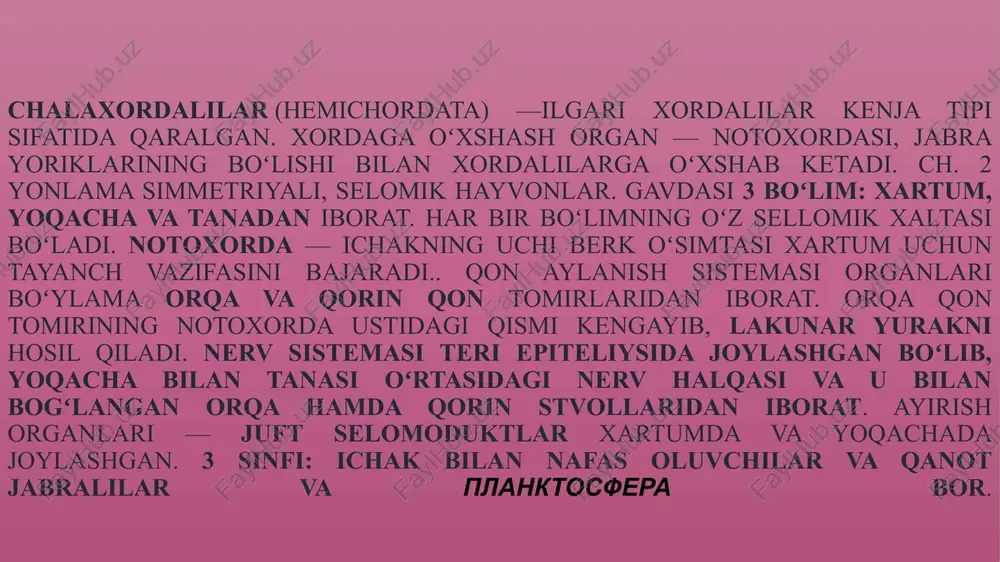 tornariya ignate rililarnikiga oʻxshash. 80 ga yaqin turi, asosan, iliq dengizlarda tarqalgan. tipik vaki balanogloss. balanoglosslar (balanoglossus) – tip chala xordalilar - hemichordata. sinf ichak bilan nafas oluvchilar - enteropneusta. vakil balanogloss - balanoglossus gigas gavdasi chuvalchangsimon, uchta qismdan — hartum, yoqa va tanadan iborat, uz. 2,5 m ga yetadi. boshlangʻich xordasi va nevrotseli boʻladi, lekin tuzilishi haqiqiy xordalilardan farq qiladi. b. dengizning uncha chuqur boʻlmagan joylarida qumga koʻmilib yashaydi. uzun muskulli hartumi qumni kavlab kirib olishga yordam beradi. gavdasining hartumdan keyingi yoqa deb ataladigan qismi halqa shaklida tanasini oʻrab oladi. gavdasi sirtdan bir qavat kiprikli epiteliy bilan qoplangan. epiteliy ostida tashqi halqasimon va ichki boʻylama muskullar joylashgan. ogʻiz teshigi qorin tomoniga hartum bilan yoqa oʻrtasiga ochiladi. b. suv tubidagi balchiqni yutib, undagi organik qoldiqlar va mayda organizmlarni ajratib olib oziqlanadi. bir necha turi maʼlum. shim. va uzoq sharq dengizlarida 3 turi tarqalgan. 12 13 14 balanogloslar domen: eukarioti tsarstvo: …