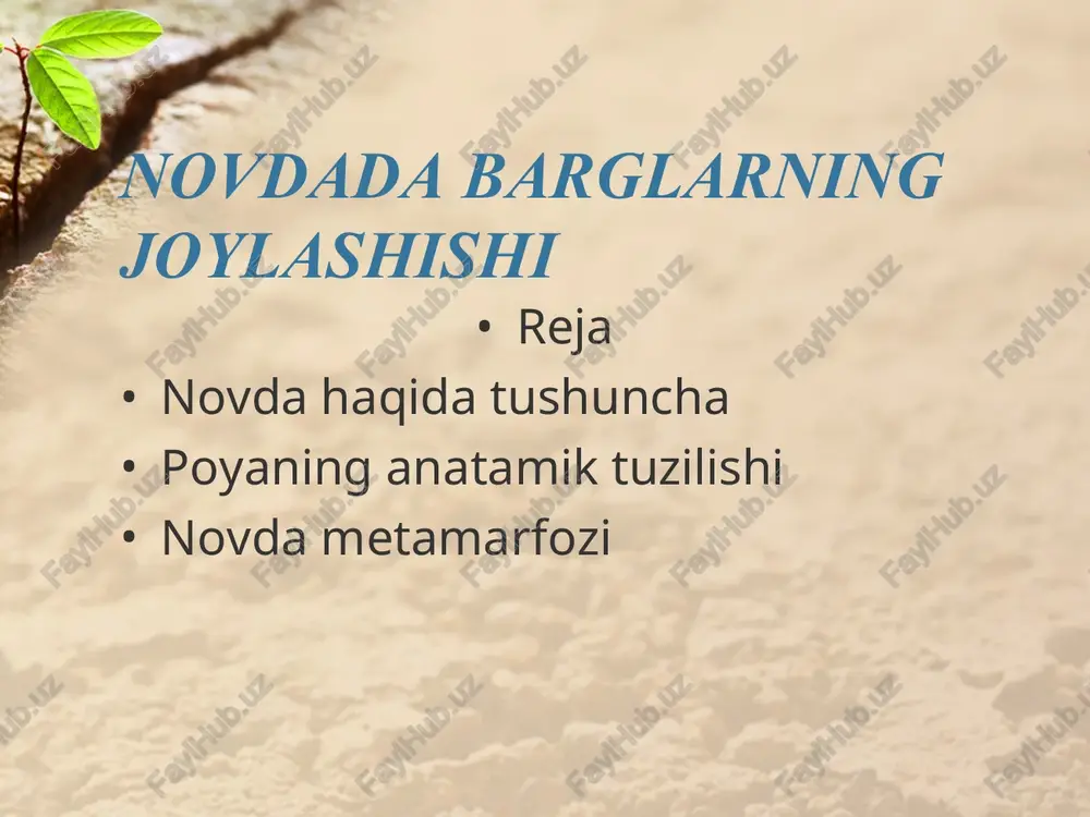 r yorug‘sevar o‘simliklar deyiladi? qaysi o‘simliklar soyasevar o‘simliklar deyiladi? ularga misollar keltiring. maktab tajriba dalasida, ko‘changizda va xo-nada o‘sib turgan o‘simliklar bargi novdada qanday joylashganligini aniqlab, nomlarini yozib oling. xonalarda o‘stiriladigan gullardan ikkitasini olib, deraza yoniga qo‘ying. ulardan bittasini har kuni qu yosh tushadigan tomonga qaratib aylantirib turing. ikkinchisiga tegmang. oradan bir necha kun o‘tgach ikkala gultuvakdagi o‘simliklarning barglari qanday holatda ekanligini taqq oslab ko‘ring. natijasini izohlab, yozib qo‘ying. *