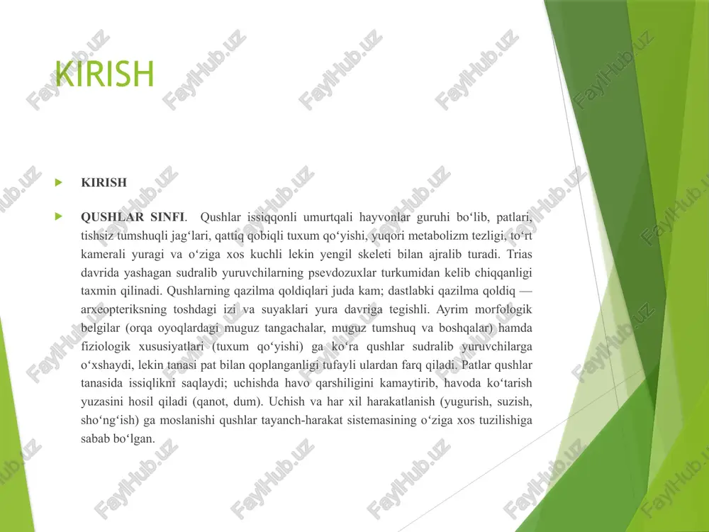 i. qushlarning tinch davri bilan faollik davrining almashinib turishi amfibiyalar bilan reptiliyalarga o‘xshab namlik va temperatura sharoitlariga bog‘liq emas. bu hodisa, asosan oziq topish imkoniyatiga va ma’lum bir biologik ritmga bog‘liq. chumchuqsimonlar (passeriformes) — qushlar turkumi. 63 oilasi, 5100 ga yaqin turi maʼlum. oʻzbekistonda 209 turi uchraydi. ch. tanasining uz. 9,5 dan (korolyok—chittakning bir turi) — 65 sm gacha (quzgʻun). ogʻirligi 3—4 g dan 1,1—1,6 kg gacha. yer yuzida keng tarqalgan. 4 kenja turkum: shoxtumshuqli ch., qichqiruvchi ch., sayroqi ch. va yarim sayroqi ch.ga boʻlinadi. shoxtumshuqli ch. (14 tur) afrika va jan.sharqiy osiyoda tarqalgan. qichqiruvchi ch. (1100 tur) janubiy amerika va sharqiy yarim sharning tropik qismida tarqalgan. sayroqi ch. (qariyb 4000 tur) yer yuzining hamma joyida yashaydi. jish jo’jalarning ovqatlanishi jish jo’jalar kaptarsimonlar (columbiformes)- qushlar sinfining bir turkumi. 311 turi mavjud. yer yuzining hamma mintaqalarida (chekka shim. va jan. sovuq hududlardan tashqari) tarqalgan. oʻrmon, bogʻ, butazor, qoyalar, jarlik va binolar …