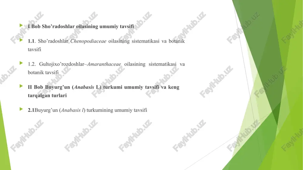 5 (1-3) ta, ba’zan kosachasi yo’q, erkin ba’zan asosidan qisman qo’shilgan, changchilari 5 ta, erkin yoki asosidan qo’shilib qisqa nay hosil qiladi changdonlari 4 uyali (gultojixo’rozlarda), 2 uyali (gomfrenalarda) ginetsey 2-3 mevachibargdan iborat, tugunchasi ustki gulining umumiy formulasi: ca4-5co0a5g(2-3) mevasi yong’oqcha, ba’zan rezavor, urug’lari sharsimon, yasmiqsimon va yaltiroq gultojixo’rozdoshlar oilasining 3 oilachasi mavjud: derringiyadoshchalar (derringioideae), gultojixo’rozdoshchalar (amaranthoideae), gomfrenadoshchalar (gomphrenoideae) ular 65 turkum va 900 dan ko’proq turni o’z ichiga oladi o’zbekistonda esa 1 turkum va 10 turi o’sadi ular orasida derringiyadoshchalar tuzilishiga ko’ra eng sodda va qadimgirog’i hisoblanadi uning 5 ta turkumi mavjud, ammo birontasi ham o’zbekistonda yovvoyi holda uchramaydi gultojixo’rozdoshlar oilasi kelib chiqishi va tuzilishiga ko’ra sho’radoshlarga (chenopodiaceae) ancha yaqin turadi, mingguldoshlar (phytolaccaceae) bilan umumiy belgilari ancha ko’p sho’radoshlar va gultojixo’rozdoshlar mingguldoshlarning yuksakroq tuzilishli vakillaridan kelib chiqqan deb qaraladi ii bob. buyurg’un (anabasis l) turkumi umumiy tavsifi va keng tarqalgan turlari . 2 1. buyurg’un (anabasis l) turkumining umumiy …