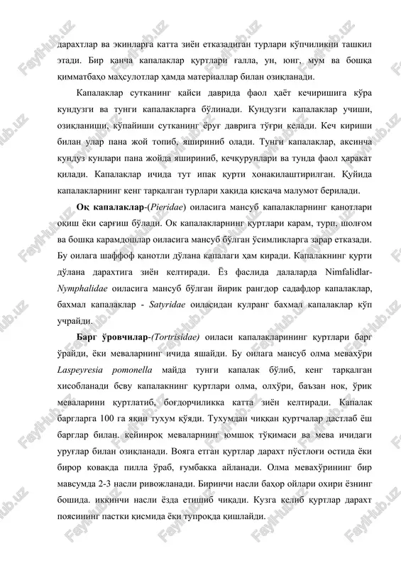 um va boshqa qimmatbaho mahsulotlar hamda materiallar bilan oziqlanadi. kapalaklar sutkaning qaysi davrida faol hayot kechirishiga ko'ra kunduzgi va tungi kapalaklarga bo'linadi. kunduzgi kapalaklar uchishi, oziqlanishi, ko'payishi sutkaning yorug' davriga to'g'ri keladi. kech kirishi bilan ular pana joy topib, yashirinib oladi. tungi kapalaklar, aksincha kunduz kunlari pana joyda yashirinib, kechqurunlari va tunda faol harakat qiladi. kapalaklar ichida tut ipak qurti xonakilashtirilgan. quyida kapalaklarning keng tarqalgan turlari xaqida qisqacha malumot beriladi. oq kapalaklar-(pieridae) oilasiga mansub kapalaklarning qanotlari oqish yoki sarg'ish bo'ladi. ok kapalaklarning qurtlari karam, turp, sholg'om va boshqa karamdoshlar oilasiga mansub bo'lgan o'simliklarga zarar etkazadi. bu oilaga shaffof qanotli do'lana kapalagi ham kiradi. kapalakning qurti do'lana daraxtiga ziyon keltiradi. yoz faslida dalalarda nimfalidlar-nymphalidae oilasiga mansub bo'lgan yirik rangdor sadafdor kapalaklar, baxmal kapalaklar - satyridae oilasidan kulrang baxmal kapalaklar ko'p uchraydi. barg o'rovchilar-(tortrisidae) oilasi kapalaklarining qurtlari barg o'raydi, yoki mevalarning ichida yashaydi. bu oilaga mansub olma mevaxo'ri laspeyresia pomonella mayda tungi …