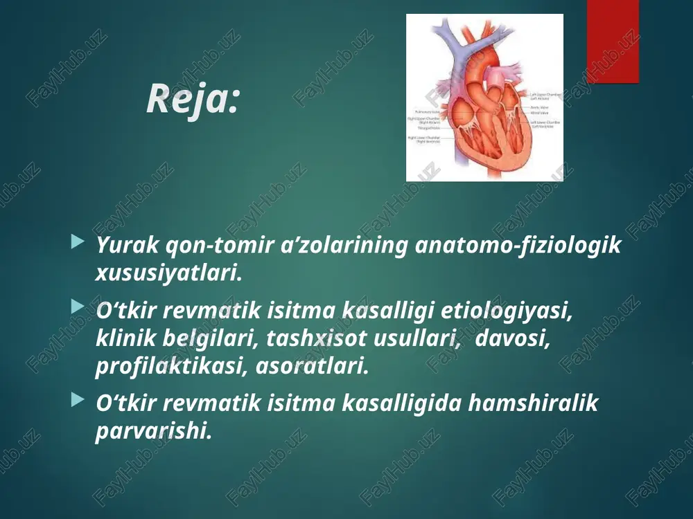 ena¬sining chap bo‘lmasiga quyilish joyigacha bo‘lgan qismi kichik qon aylanish doirasi deyiladi. tomirlar tizimining qolgan qismi, ya’ni chap qorinchadan boshlanib, aorta va uning tarmoqlaridan tortib to ustki va pastki kovak venalarigacha bo‘lgan qism katta qon aylanish doirasi deb ataladi. tomirlar tizimi bo‘ylab qon bir qancha omillar tufayli, birinchi galda yurakning bir tekis va davriy suratda qisqarib borishi tufayli harakatlanib turadi. yurakni qisqarishga majbur etadigan impulslar o‘ng bo‘lmada yuqori chekkasida ustki kovak venaning ogʻzi yaqinida joylashgan sinus tugunida vujudga keladi. yurakning qisqarishi sistola deb, bo‘shashuvi diastola deb yuritiladi. normada yurak minutiga 60-80 martadan qisqarib turadi. o‘zining qisqarishi uchun yurak impulslarni o‘zi ishlab chiqarib boradi, ya’ni u avtomatizm xususiyatiga egadir. yurak har qisqarganida (bitta sistola vaqtida) normada 50-70 ml qonni otib chiqaradi, bu – sistolik hajmni tashkil etadi. sistola paytida yelka arteriyasidagi qon bosimi sog‘lom odamda taxminan 110-140 mm. simob ustunini tashkil qiladi(sistolik yoki maksimal bosim). diastola mahalida bu bosim pasayib, 70-80 …