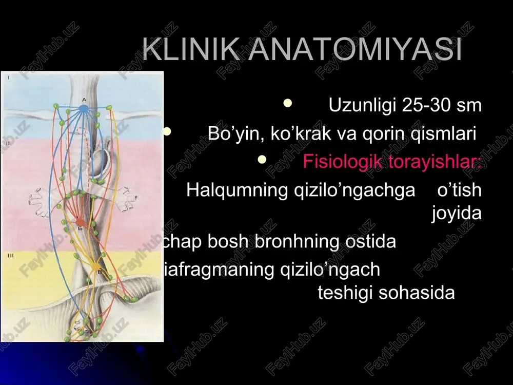 ik kontakt, surunkali ionlantiruvchi nurlar ta'siri, qizilo'ngach shillik kavati kup vakt davomida surunkali mexanik, ximik, termik ta'sirlanishi, reflyuks – ezofagit chekish (ayniksa nos) spirtli ichimliklarni suiste'mol kilish, suvning uta minerllashganligi, gazlangan ichimliklarni kup iste'mol kilish. saraton oldi kasalliklari surunkali ezofagit leykoplakiya qizilo'ngach peptik yaralari epitelial xavfsiz usmalardan keyin qizilo'ngach poliplari qizilo'ngach papillomalari qizilo'ngach chandiqli strikturalari o’sma oldi kasalliklari surunkali ezofagit uni oldini olish: chekmaslik, spirtli ichimliklar istemol kilmaslik juda issiq ovqatlarni iste’mol qilmaslik mayda suyakli baliklarni iste’mol qilmaslik ehtiyotkorlikka rioya qilish vitaminlar a,c va b guruhi patalogik anatomiyasi kizilungach ko’krak o’rta kismida - 40-70% ko’krak pastki kismida - 25-40% gacha usma uchraydi tashqi ko’rinishi: ekzofit, endofit buyin va kukrak kismida yassi hujayrali, shohlangan yoki shohlanmagan rak, pastki kismida bez hujayrali rak uchraydi. limfogen va gematogen metastazlar kuzatiladi klinik manzarasi disfagiya regurgitatsiya gipersalivatsiya tana vaznining kamayishi ovkat yutganda tush ortida ogrik paydo bulishi umumiy holsizlik tez charchab qolish shubhali belgilar kimyoviy …