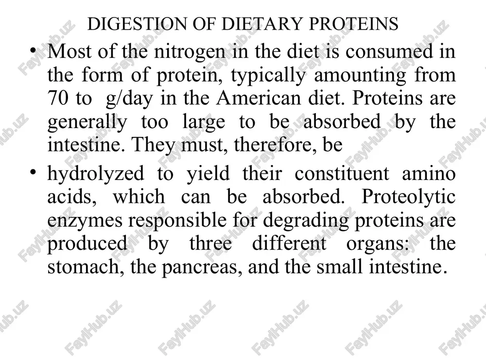 them from being catalytically active. pepsinogen is activated to pepsin, either by or autocatalytically by other pepsin molecules that have already been activated. pepsin releases peptides and a few free amino acids from dietary proteins. b. digestion of proteins by pancreatic enzymes on entering the small intestine, large polypeptides produced in the stomach by the action of pepsin are further cleaved to oligopeptides and amino acids by a group of pancreatic proteases. 1. specificity: each of these enzymes has a different specificity for the amino acid r-groups adjacent to the susceptible peptide bond. for example, trypsin cleaves only when the carbonyl group of the peptide bond is contributed by arginine or lysine. these enzymes, like pepsin described above, are synthesized and secreted as inactive zymogens. oqsillar – yuqori molekulali organik birikmalar, 100 ortiq aminokislota qoldiqlaridan tashkil topgan moddalar. odam organizmida 15 kg oqsil mavjud. genlar soniga nisbatan tamizminlarga ko'ra 50000 …