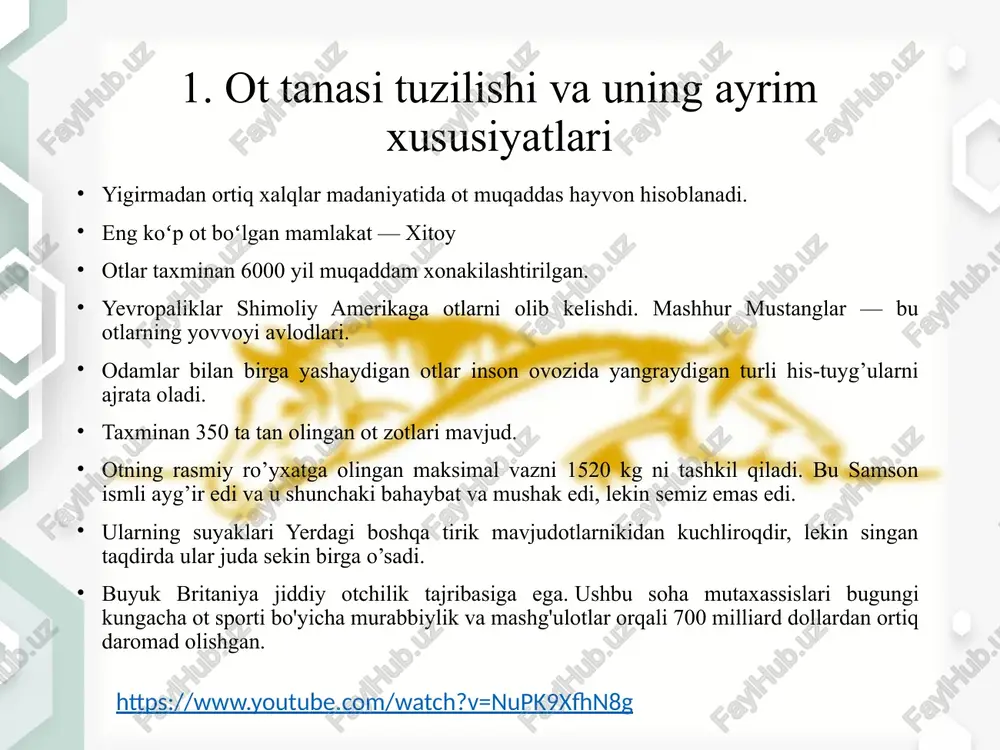 3 dan 680 kilogrammgacha). og‘ir zotlar og'ir zotlar - bu otlar deb ham ataladi - katta, massiv otlar. ular omoch va vagonlarni tortish va katta yuklarni tashish uchun qurilgan. ularning nisbatan qisqa, mustahkam oyoqlari tortishda ularga yaxshi tayanch beradi. qisqa, mushakli orqa va kuchli orqa oyoqlari ularga katta og'irliklarni tortib olishga imkon beradi. og'ir zotlarning vazni 635 dan 1225 kilogrammgacha. 3. ot eksteryerini aniqlash uchun o‘lchamlar olish ot eksteryerini aniqlashni u dennikda turganda yoki ozuqa qabul qilganda boshlash lozim. bunda uning odamlarga munosabatini, ozuqani qabul qilish sifatini, adadlarini ko‘rish mumkin. undan keyin ot otxonadan chiqarilib uning ko‘zi, burun kataklari, og‘iz burchaklari, tishlari, tili, ganashlarini va ensasini ko‘zdan kechiradilar. otning umumiy ko‘rinishini 6-7 qadam keladigan masofadan kuzatish lozim. otlarning tana qismlariga to‘liq va malakali baho berish – tana qismlarning nomlarini, shakl va funksiyasini, jinsi va yoshini, boqilish sharoitiga qarab rivojlanish xususiyatlarini aniq bilishni taqozo etadi. shuningdek, tana qismlarida uchraydigan nuqson va …