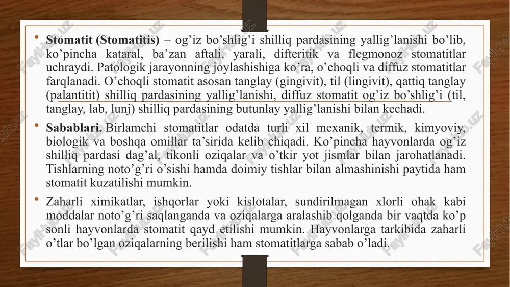 ardasi vizual tekshirilganda stomatit turi aniqlanadi. bu paytda oqsil kabi yuqumli kasalliklar bor yoki yo’qligiga e’tibor beriladi. shuningdek, epizootik holat hisobga olinadi. davolash. birinchi navbatda etiologik omillarning shilliq pardalarga ta’siri yo’qotiladi. oziqalarni to’g’ri tanlash va ularni hayvonlarga tayyorlab berishga e’tibor qilinadi. hayvonlarga maydalangan go’sht yoki qaytnatmalar beriladi. kasal hayvonning og’iz bo’shlig’i bir kunda bir necha marta 3%li natriy gidrokarbonat, 0,1%li kaliy permanganat, 0,02%li furasillin, 0,1%li etakridin laktat, 3%li borat kislotasi kabi eritmalar bilan yuvib turiladi. shilliq pardalarda yaralar, nekrotik va difteritik jarohatlanishlar kuzatilganda yod-gliserin, yod-vazogen va 10%li sintomisin malhamlaridan foydalaniladi. faringit (pharyngitis) – halqum, yumshoq tanglay, limfatik follikulalar, shilliq osti to’qimasi va yutinish muskullarining hamda halqum limfa tugunlarining jarohalanishi bo’lib, yallig’lanishning xarakteriga ko’ra, kataral, krupoz, difteritik, yarali va flegmonoz faringitlar farqlanadi. sabablari. sovuq haroratli suv yoki muzlagan oziqalar, issiq havo yoki tutun bilan nafas olish xalqum shilliq pardasiga to’g’ridan-to’g’ri ta’sir etadi. kislotalar, ishqorlar, skipidar, qo’stirgich tosh va boshqa kimyoviy qitiqlovchi …