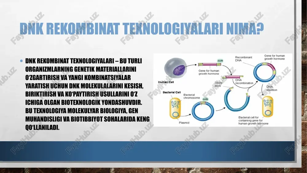 ) gormonlar ishlab chiqarish ilgari insulin hayvonlardan olinardi, ammo dnk rekombinant texnologiyasi tufayli bugungi kunda inson insulinini bakteriyalarda sintez qilish mumkin. genentech kompaniyasining rekombinant insulini genentech kompaniyasi 1976-yilda birinchi marta rekombinant insulinni ishlab chiqarishga muvaffaq bo'ldi. ushbu jarayon, bioteknologiya sanoatining peshqadamlaridan bo'lib, butun dunyo farmatsevtika sanoatiga ta'sir ko'rsatdi. kompaniya 1982-yilda fda (amerika oziq-ovqat va dori-darmon boshqarmasi) tomonidan tasdiqlangan birinchi rekombinant insulinni bozorga chiqardi. onkologiyada qo’llanilishi onkogenlar – bu saratonni keltirib chiqarishi mumkin bo‘lgan genlar. rekombinant dnk yordamida onkogenlarni blokirovka qilish yoki ularni o‘chirish saratonni davolashning yangi usuli sifatida tadqiq qilinmoqda. immunitetni saraton hujayralariga qarshi ishlashiga undash uchun, immun tizimini kuchaytirish uchun genetik modifikatsiya qilingan hujayralar ishlatiladi. masalan, car-t hujayralari (chimeric antigen receptor t-cells) yordamida saraton hujayralariga qarshi kurashish uchun t-hujayralar genetik jihatdan o‘zgartiriladi. antikogen terapiya – bu saraton hujayralarining o‘sishini va tarqalishini to‘xtatish uchun genetik materialni maqsadli ravishda ishlatish usulidir. antikogenlarning ishlab chiqarilishi: saraton hujayralariga qarshi tayyorlangan monoklonal antikorlar yoki …