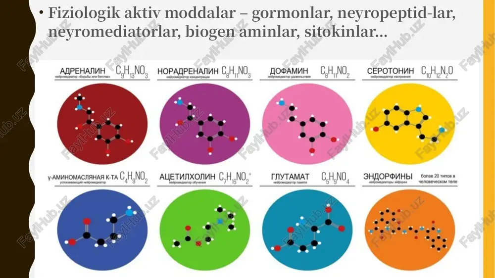 rsatadi. 1) uglevod, yog', aminokislotalar almashinuvini idora etuvchi gormonlar (insulin, glyukagon, adrenalin, glukokortikosteroidlar). 2) suv-tuz almashinuvini idora etuvchi gormonlar (mineralokortikosteroidlar, antidiuretik gormon). 3) kalsiy va fosfatlar almashinuvini idora etuvchi gormonlar (paratgormon, kalsitonin, kalsitriol). 4) reproduktiv funksiyaga aloqador moddalar almashinuvini idora etuvchi gormonlar (estradiol, progesteron, testosteron). 5) endokrin bezlar funksiyasini idora etuvchi gormonlar. – rilizing va trop gormonlar 6) gormon sintezlovchi hujayrada metabolizmini o’zgartiradigan – eykazanoid, gistamin, sekretin, gastrin 1) juda qisqa – (sekund) – peptid tabiatli gormonlar 2) qisqa – (minut) - adrenalin 3) uzoq- (soat) – tiroksin 4) juda uzoq-(sutka) - steroidlar adenilatsiklaza messenjer sistemasi guanilatsiklaza messenjer sistemasi ca+2– messenjer sistemasi gk buyrak usti bezi po'stloq qismida sintezlanadi. gk sekresiyasini kortikotropin boshqaradi, u hujayra membranasidagi reseptorlar bilan bog'lanadi, samf miqdorini oshiradi va u orqali xolesterin efirlaridan gk sintezini tezlashtiradi. gk qon zardobidagi 1-globulinlar bilan nishon hujayralarga tashiladi: jigar, buyrak, limfa to'qimasi, biriktiruvchi to'qima, skelet mushaklar, yog' to'qimasi. mushak, limfa, …