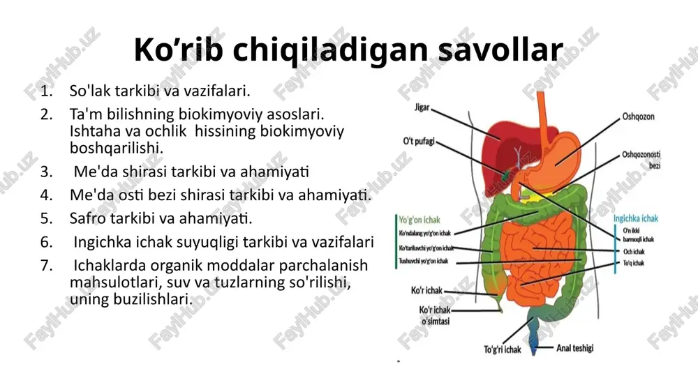 ir ta’m haqida reaksiya beradi organizmdagi turli xil patalogik jarayonlarda so’lak tarkibi va miqdori o’zgarib turadi: gipersalivatsiya-stomatologik kasalliklarda(stomatit,gingvit,) oshqozon-ichak kasalliklarida(gastrit,kolit) insult asorati sifatida ham yuzaga keladi. infeksion kasalliklar(quturish) gipersalivasiya fiziologik holatlarda ham kuzatiladi(chaqaloqlarda,homiladorlikda,turli dori vositalari qabul qilganda) salivadiagnostika me'da shirasi me’da shirasi -oshqozondagi shilliq qavat bez hujayralari tomonidan ishlab chiqariladi. sutkalik normasi 2-3 litr. ph 1-2 atrofida, lekin ovqatning tarkibi va sekretsiya tezligi holatiga qarab o’zgarib turadi. me’da shirasi tarkibi: hcl- oqsillarni denaturatsiyalaydi,pepsinni aktivlaydi.bakteriotsid tasir ko’rsatadi,kislotali muhitni hosil qiladi. mutsin –oshqozon devori shilliq qavatini kislota va fermentlardan himoya qiladi pepsin – asosan hayvon oqsillarini parchalaydi(kislotali muhitda) gastriksin – asosan o’simlik oqsillarini parchalaydi(ishqoriy) ximozin (rennin) – yosh bolalarda sutdagi kazeinni ivitadi tag-lipaza – yog’larni parchalaydi kaslning ichki omili – vitamin b12 ni so’rilishini ta’minlaydi giperxlorgidriya -me’da shirasida kislotalilikning oshishiga aytiladi.bu holat hcl miqdorining oshishi hisobiga yuzaga keladi.me’da va o‘n ikki barmoqli ichak yarasi va giperasid gastritda kuzatiladi. gipoxlorgidriya -me’da shirasida hcl …