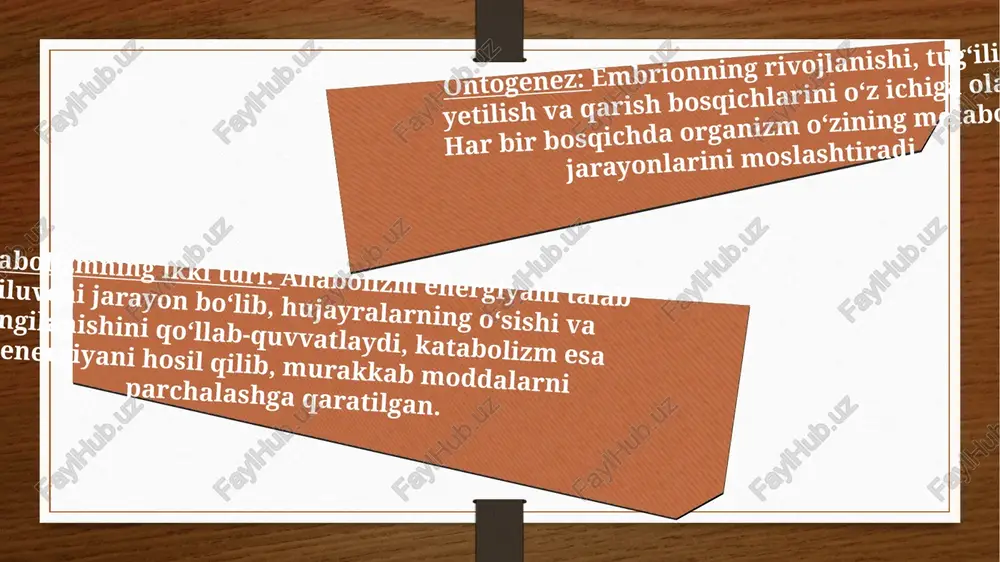 ham o‘zining ahamiyatini saqlab qoladi. gormonlarning ta'siri anabolik gormonlar insulin: qand va oqsillarning hujayralarga kirishini ta’minlab, to‘qimalarning yangilanishini rag‘batlantiradi. o‘sish gormoni (somatotropin): suyaklar va mushak to‘qimalarining o‘sishini ta’minlaydi. testosteron va estrogen: o‘sish va mushak to‘qimalari sintezini qo‘llab-quvvatlaydi, ayniqsa jinsiy yetilish davrida. katabolik gormonlar: kortizol: stress vaqtida energiya chiqarishni rag‘batlantiradi, oqsillar va yog‘larni parchalashni kuchaytiradi. adrenalin: tez energiya zarurati paytida katabolik jarayonlarni boshlaydi. keksayish davrida metabolizm metabolizmning sekinlashishi: keksayish davrida anabolik jarayonlar sekinlashadi, mushaklar va suyaklar zaiflashadi. bu jarayonlar metabolik darajani pasaytiradi va katabolik jarayonlar kuchayadi. sarkopeniya: yosh ulg‘ayishi bilan mushak massasi kamayishi. bu jarayon katabolizmning kuchayishi natijasida yuzaga keladi. oqsil sintezining kamayishi: yosh o‘tgan sari organizm yangi hujayralar va to‘qimalar sintezini kamaytiradi, bu esa tananing tiklanish qobiliyatini pasaytiradi. keksayishda anabolizmni rag'batlantirish parhez va ozuqa: oqsilga boy dietalar mushaklar va suyaklarni saqlashga yordam beradi. aminokislotalar (masalan, leysin) anabolizmni rag‘batlantiradi. jismoniy mashg‘ulotlar: kuch mashqlari mushaklarning massasi va quvvatini saqlash uchun muhimdir. bu …