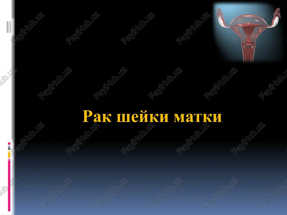 i (rshm) sostavlyaet u jenshin 5,4 % ot vsex zlokachestvennix opuxoley i zanimaet v strukture onkologicheskoy zabolevaemosti 6-e mesto, smertnosti — 3-e mesto. maksimalnie pokazateli zabolevaemosti rshm registriruyutsya v vozraste ot 45 do 75 let. zabolevaemost rshm v raznix regionax variruet v shirokix predelax. naibolee visokie pokazateli otmecheni v nekotorix rayonax indii (43 sluchaya na 100 ooo naseleniya, v ssha - 7 sluchaev na 100 000 naseleniya). sheyka matki predstavlena vlagalishnoy chastyu, pokritoy mnogosloynim ploskim epiteliem (mpe) (20 sloev kletok), i endotservikalnoy, v kotoroy proxodit tservikalniy kanal, pokritiy tsilindricheskim epiteliem. v norme v zone narujnogo zeva tsilindricheskiy epiteliy stikuetsya s mnogosloynim ploskim epiteliem. u chetverti molodix jenshin 20-letnego vozrasta liniya stika naxoditsya na vlagalishnoy chasti sheyki matki, a vokrug zeva chast sheyki ostaetsya pokritoy tsilindricheskim epiteliem i nazivaetsya psevdoeroziey. v period epitelizatsii mnogosloynim ploskim epiteliem psevdoerozii formiruetsya zona transformatsii, v kotoroy imeyutsya uchastki metaplasticheskogo ploskogo epiteliya. liniya stika i zona …