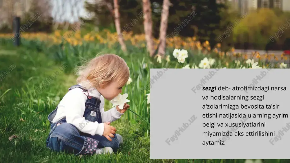 ashkil topgan periferik (reseptor) - tashqi quvvatni nerv jarayoniga o’tkazadigan maxsus transformator qismi analizatorning periferik bo’limining markaziy analizator bilan bog’laydigan yo’llarni ochadigan afferent (markazga intiluvchi) va efferent (markazdan qochuvchi) nervlar analizatorning periferik bo’limlaridan keladigan nerv signallarining qayta ishlanishi sodir bo’ladigan qobiq osti va qobiq bo’limlari 1 2 3 sezgilar tasnifi va turlari. 01 ko’rish 02 eshitish 03 hid bilish 04 ta'm bilish 05 teri 06 muskul-harakat 07 organik u reseptorning qaerda joylashganligiga qarab, sezgilarni uch turga bo’ladi ch.sherrington sezgi turlari ekstroreseptiv sezgilar interoreseptiv sezgilar proprioreseptiv sezgilar interoreseptiv sezgilar organizmdagi ichki jarayonlarni o’zaro o’rin almashtirish muvozanatini ta'minlab turishning asosi hisoblanadi. bu jarayonni bir so’z bilan aytganda, organizmdagi jarayonlarni o’zaro o’rin almashib turishning gomestazi (barqarorligi) deb ataladi proprioseptiv sezgilar gavdaning fazodagi holati to’g’risida signallar bilan ta'minlab turadi. ular inson harakatining boshqaruvchisi hisoblanib va afferent asosini tashkil qiladi. pereferik reseptorlar muskullar, pay va bo’g’imlarda joylashgan bo’lib, maxsus tanachalar shakliga ega va ular puchchini …