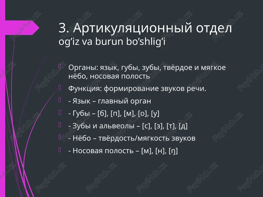 fonetika. nutq tovushlarining hosil boʻlishi - Page 2
