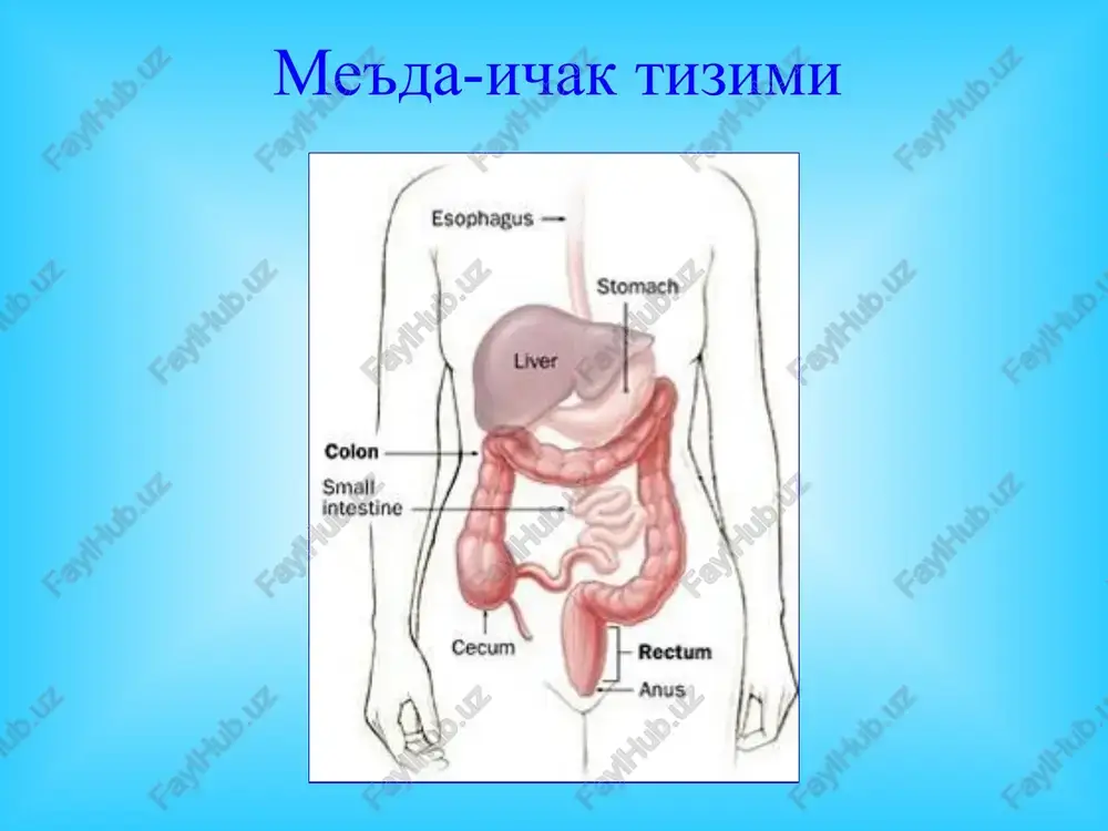 olligi 3. fermentlar mutonosibligini buzilishi 4. oralik maxsulotlarini yigilishi 5. yalliglanish mediatorlarini ishlab chikilishi 6. kallikreii-kinin tizimi va trombin tizimini ishga tushishi utkir shishli pankreatit ii. immunologik komponentlar 1. gumoral va xujayraviy immunitetni pasayishi 2. autoallergik jarayonlar tukimalar bioximiyasini uzgarishi va tukimalar butunligini buzilishi proteolitik fermentovlar aktivligi (tripsinogenni tripsinga utishi, elastazani aktivligi va tomirlar devorini shikasti) iii. mikroblar komponenti yogli pnz gemmorragik pnz yiringli pnz a'zo ishemiyasi shishli pankreatit patologik anatomiya gemorragik pankreatit patologik anatomiya yiringli pankreatit patologik anatomiya o'tkir pankreatitning klinik manzarasi og'riq - epigastral sohada o'tkir pankreatitning shishli shaklida kuchsizrok, pankreonekrozda kuchli bo'ladi. ovqat-lanishga maromi buzilganda qo'ziydi va seziladi. og'riq ko'p hollarda qorinning yuqori qismini egallaydi va belbog'si-mon tus oladi (lobachev simptomi). og'riqlarning bel sohasiga irradiatsiyasi (meyo- robson belgisi), o'ng kurak ostiga (boas), o'ng elka sohasiga, o'ng o'mrov ostiga irradiatsiyasi (myussi simptomi) kuzatiladi. qayt qilish - o'tkir pankreatitga xos belgi, ko'proq kayta-lanuvchi, bemorni holdan toydiruvchi bo'lishi mumkin, ba'-zida …