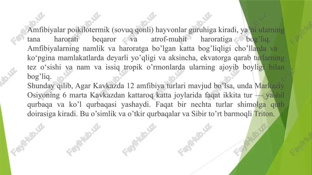 . 2. hayotini bir qismini suvda va bir qismini quruqlikda o’tkazuvchi amfibiyalar. bu guruhga ko’pchilik dumsiz amfibiyalar vakillari kiradi. ular ko’payish davrini va qishki uyqusini suvda o’tkazadi. ko’l baqasi suvdan tashqarida uchrasa ham, lekin suv bo’yidan uzoqqa ketmaydi, quruqlikda biror havd sezilsa, darxol suvga tushadi. hayotining aksariyat qismini quruqlikda o’tkazadigan qurbaqalar, olovli va kavkaz salamandrlari ham faqat suvda urchiydi va rivojlanadi. rana ridibunda(ko’l baqasi). 3. daraxtda yashovchi amfibiyalar. dumsiz amfibiyalar turkumi orasida tropik o’rmonlarda daraxtda yashashga moslashgan turlari ham mavjud. ular o’z tuxumlarini suvga, yirik barg ustiga, daraxt ildiziga qo’yib, shu yerda ko’payadi. umuman daraxtda yashaydigan amfibiyalarning hayot sharoiti ham har xildir. masalan: kvakshalar umrining ko’p qismini daraxtda o’tkazadi, lekin ularning ko’payishi, urchishi yerda va suvda o’tadi. daraxtda yashaydigan amfibiyalar turli moslanish belgilariga ega. kvakshalar barmoqlarida joylashgan bezlar ishlab chiqaradigan shilimshiq moddasi va so’rg’ichlari yordamida daraxtlarda o’rmalab yuradi. ba’zi turlarining shilimshiq ishlab chiqaruvchi bezlari qorin terisida joylashgan. fillomeduzalar barmoqlari yordamida …