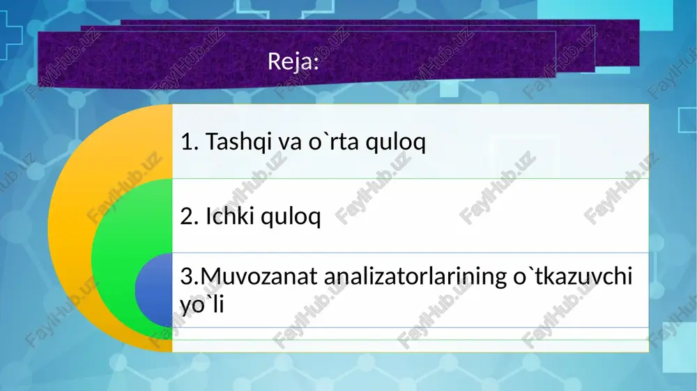 h organlari baland zerikarli tovushlardan himoyalangan. shuningdek, mushaklar suyaklarni qo‘llab-quvvatlaydi va turli kuch va to‘lqin tebranishlariga ega tovushlarga moslasha oladi. ichki quloq ichki quloq eshitish apparatining eng murakkab tuzilishidir. u koklea va vestibulyar apparatdan iborat. salyangozning asosiy maqsadi tovushni uzatishdir. vestibulyar apparat tananing kosmosdagi holatini aniqlaydi. koklea suyak labirintidir. ushbu material inson tanasida eng bardoshli hisoblanadi. tashqi ko'rinishida salyangoz 32 mm uzunlikdagi konusga o'xshaydi. poydevorda diametri 9 mm, tepada - 5 mm. kokleaning ichki tuzilishi 2 zinapoyaga o'xshaydi - yuqori kanal va pastki kanal. ikkala kanal ham kokleaning yuqori qismida tor teshik - helikotrema bilan bog'langan. zina bo'shliqlari tarkibida orqa miya tarkibiga o'xshash suyuqlik bilan to'ldirilgan. mana ikkilamchi timpanik membrana. spiral kanal orqali signal korti organiga kiradi va turli chastotalardagi tovushlarga javob beradigan siliyer jismlarga uzatiladi. yoshi bilan tuklar soni kamayadi, bu esa eshitish qobiliyatini yo'qotishiga yordam beradi. eshitish analizatorining o'tkazuvchanlik yo'li akustik signallarni qabul qilish uchun javob beradigan retseptorlar …