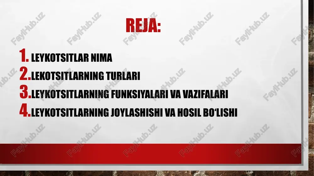 lar faoliyatini nazorat qilish. b-limfotsitlar- qo'llab-quvvatlash gumoral immunitet bakterial va kurash virusli infektsiyalar antikor oqsillarini hosil qilish orqali. monotsitlar- tufayli mumkin bo'lgan eng faol fagotsitlar funktsiyasini bajarish katta raqam sitoplazma va lizosomalar (hujayra ichidagi ovqat hazm qilish uchun mas'ul organoidlar). leykotsitlarning vazifalar leykotsitlarning ahamiyati ularning immunitet reaktsiyasida ishtirok etishi va tanani har qanday xorijiy agentlarning kirib kelishidan himoya qilish bilan izohlanadi. oq qon hujayralarining asosiy vazifalri fagositoz antitelolar ishlash oqsil toksinlarni yo'q qilish va olib tashlash. 3 neytrofillar. fagotsitozda bevosita ishtirok eting. ular hujayralararo suyuqlikka va mikrob yashaydigan hujayraga kirishga qodir. bunday immun hujayralardan biri 20 tagacha bakteriyani hazm qila oladi. mikroblarga qarshi kurashda neytrofil o'ladi. o'tkir yallig'lanish organizm tomonidan bunday hujayralarning keskin ishlab chiqarilishini qo'zg'atadi, bu darhol leykotsitlar formulasida aks etadi, miqdori ortdi. monotsitlar. neytrofillarga yordam bering. yallig'lanish o'chog'ida kislotali muhit paydo bo'lsa, ular faolroq bo'ladi. limfotsitlar. ular o'z hujayralarini tuzilishidagi begonalardan ajratib turadilar, antikorlarni ishlab chiqarishda ishtirok etadilar. …