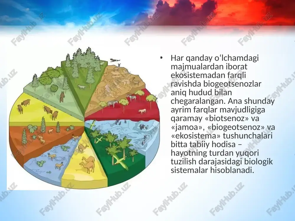 parchalab, tashqi muhitga qaytaradi. biotsenoz tarkibidagi barcha tirik organizmlar 3 ta funksional guruhga bo‘linadi: produtsentlar, konsumentlar va redutsentlar produtsentlar (lot. «producens» – yaratuvchi) – organik birikmalarni hosil qiluvchilar, ya’ni avtotrof organizmlar bo‘lib, anorganik moddalardan organik birikmalarni sintezlaydi. bu guruhga yashil o‘simliklar, fotosintezlovchi va xemosintezlovchi bakteriyalar kiradi. konsumentlar (lotincha «consume» – iste’mol qilaman) yoki iste’mol qiluv chilar – geterotrof organizmlar bo‘lib, tayyor organik birikmalar bilan oziqlanadi va oziq tarkibidagi energiyani oziq zanjiri bo‘ylab uzatadi. oziq (trofik) zanjiri – organik birikmalarni hosil qiluvchilardan iste’mol qiluvchilarga bosqichma-bosqich modda va energiyani uzatuvchi organizmlar ketma-ketligidir. redutsentlar (lotincha «reduco» – qaytaraman, tiklayman) yoki destruktorlar (lotincha «destruo» – parchalayman) – geterotrof organizmlar bo‘lib, organik birikmalarni anorganik moddalargacha parchalaydi. ularga saprotrof (saprofit) bakteriyalar va zamburug‘lar kiradi. biogeotsenozlarga xos xususiyatlar. biogeotsenozlar bir qator xususiyatga ega bo‘lib, bu xususiyatlar ularning uzoq muddat davomida barqarorligini ta’minlaydi. bu xususiyatlarga biogeotsenozlarning o‘z-o‘zini yaratishi (tiklashi), barqarorligi, o‘z-o‘zini boshqarishi, rivojlanishi va ekologik suksessiya (ekosistemalarning almashinishi) …