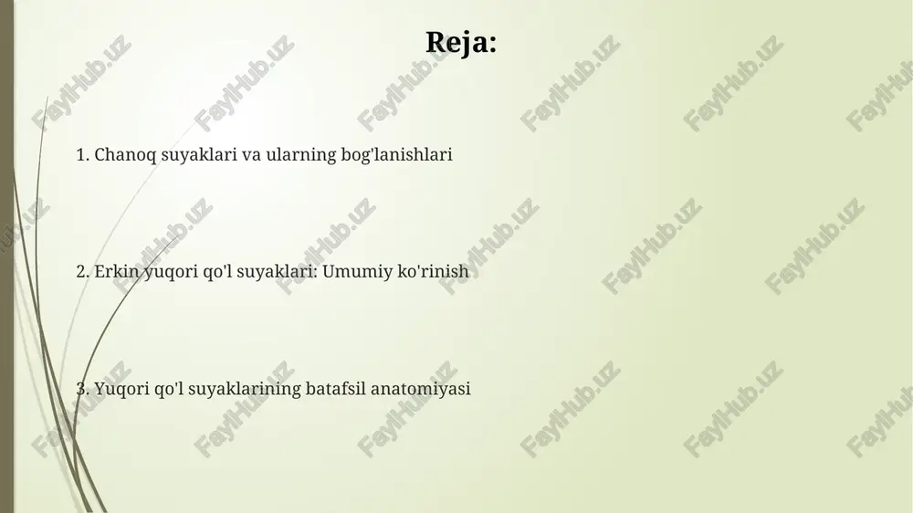 chanoq suyaklari anatomiyasi - Page 2