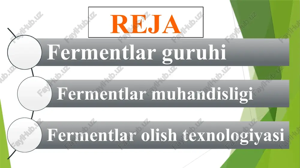 adi. barcha to‘qima va hujayralar ichida fermentlarga boy organ oshqozon osti bezidir. undan tarkibida bir qator gidrolitik fermentlar (amilaza, proteaza, lipaza) tutgan kompleks preparatlar olinadi. masalan, oshqozon osti bezidan pankreatin - quritilgan ekstrakt olinadi. hayvon xomashyolaridan ayrim fermentlarning tozalangan preparatlari - pepsin, tripsin, ximotripsin, rennin (ximozin), ribonukleaza, dnkaza, lipaza, gialuronidaza, katalaza ham ajratib olinadi. fermentlar guruhi fermentlar katalizlaydigan reaksiyalarga qarab oltita bosh sinflarga bo‘linadi. ular quyidagilar: 1. oksireduktazalar – oksidlovchi-qaytaruvchi fermentlar. 2. transferazalar – guruhlarni ko‘chiruvchi fermentlar. 3. gidrolazalar – gidrolitik parchalanish fermentlari. 4. liazalar – molekuladan guruhlarni suv ishtirokisiz ajratadigan va biriktiradigan fermentlar. 5. izomerazalar – turli xil izomerizatsiya reaksiyalarini tezlashtiruvchi fermentlar. 6. ligazalar – atf energiyasidan foydalanib, ikki molekulani bir-biriga bog‘lovchi, sintezlovchi fermentlar. 1. keng miqdorda qo`llaniladigan mikroorganizmlar fermenti -gidrolazalar sinfiga kiruvchilardir (glikozidazalar, peptidazalar ). bular glikozid peptid, efir va ayrim boshqa bog`larga suv ishtirokida ta’sir qiladi. gidrolazalar ko`pincha hujayra tashqarisidagi (ekzogen) fermetlaridir. hujayralardan chiqib ular ma’lum muhitda …