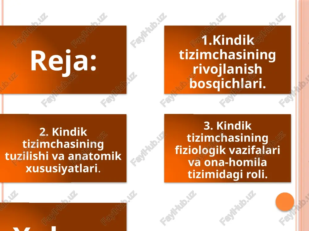 ) — bu ona va homila o‘rtasida hayotiy bog‘lanishni ta’minlaydigan muhim anatomik tuzilma bo‘lib, u asosan kindik arqoni shaklida namoyon bo‘ladi. kindik arqoni odatda silindrsimon shaklda bo‘lib, uzunligi 50–60 santimetr, diametri esa 1,5–2 santimetr atrofida bo‘ladi. u tashqi tomondan amniotik parda bilan qoplangan bo‘lib, bu parda homilani suyuqlik ta’siridan va mexanik zarar yetishidan himoya qiladi.kindik arqonining ichki tuzilmasida uchta asosiy qon tomiri mavjud: ikkita kindik arteriyasi (arteriae umbilicales) va bitta kindik venasi (vena umbilicalis). kindik arteriyalari orqali homilaning qonida hosil bo‘lgan karbonat angidrid va chiqindi mahsulotlar ona qon aylanish tizimiga uzatiladi, kindik venasi esa ona qonidan kislorod va oziqa moddalarini homilaga olib keladi. shu yo‘l bilan kindik tizimchasi modda almashinuvi jarayonining asosiy yo‘lini tashkil etadi. qon tomirlarini o‘rab turgan varton jeli deb ataluvchi shilimshiqsimon modda ularni mexanik bosim va bukilishlardan himoya qiladi. bu jelatin modda qon tomirlarining harakatlanishiga moslashuvchanlik beradi va ular o‘ralib qolmasligi uchun muhim ahamiyatga ega. kindik arqonining …