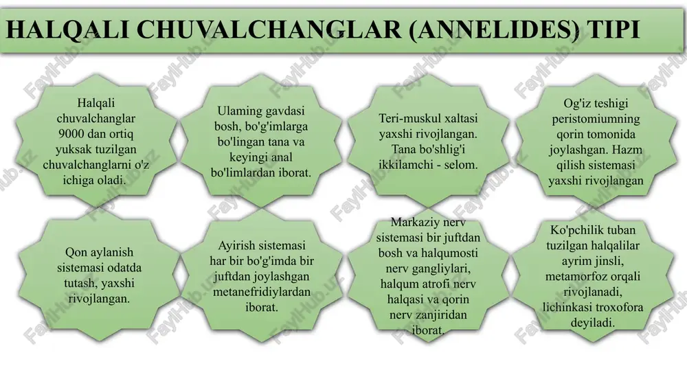 anasi cho'ziq, silindrsimon yoki biroz yassilashgan 5 dan 800 gacha halqalar, ya’ni segmentlardan iborat. oldingi og'izoldi bo'limi - prostomium va oxirgi anal bo’limi pigidium boshqa tana bo'limlaridan farq qilib, tananing metamerlashmagan (halqalarga bo'linmagan) qismi hisoblanadi. erkin yashovchi tuban tuzilgan vakillarida tana halqalari bir xilda tuzilgan ya’ni gomonom bo'ladi. o'troq hayot kechiradigan halqalilar tanasining turli qismlari har xil sharoitda bo'lishi tufayli halqalarining kattaligi va tuzilishi ham har xil bo'ladi. epiteliyda bezli hujayralar ham joylashgan. bu hujayralarning sekreti qotib, hayvon tanasi atrofida shaffof muguz yoki xitindan iborat naychani hosil qiladi. ko'pincha organik moddalarga qum zarralari aralashib, naychani mustahkam qiladi. ayrim turlarida esa organik moddaga ohak shimiladi. ko'ptuklilar bosh bo'limi og'izoldi - prostomiumdan va bosh - peristomiumdan iborat. peristomium ko'pincha bir necha (2-3) tana bo‘g‘imlarining qo'shilishidan hosil bo‘ladi. uning qorin tomonida og'iz teshigi joylashgan. bitta yoki bir necha tana bo'g'imlarini qo'shilib bosh bo'limini hosil qilishi sefalizatsiya deyiladi. prostomiumda bir juft paypaslagichlar, ya’ni palplar …