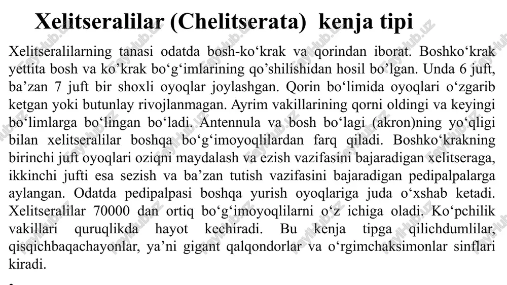 xelitseralilarning tanasi odatda bosh-ko‘krak va qorindan iborat. boshko‘krak 7 ta bosh va ko’krak bo‘g‘imlarining qo’shilishidan hosil bo’lgan. unda 6 juft bir shoxli oyoqlar joylashgan. antennula va bosh bo‘lagi (akron)ning yo‘qligi bilan xelitseralilar boshqa bo‘g‘imoyoqlilardan farq qiladi. boshko‘krakning birinchi juft oyoqlari oziqni maydalash va ezish vazifasini bajaradigan xelitseraga, ikkinchi jufti esa sezish va ba’zan tutish vazifasini bajaradigan pedipalpalarga aylangan. odatda pedipalpasi boshqa yurish oyoqlariga juda o‘xshab ketadi. xelitseralilar 70000 dan ortiq bo‘g‘imoyoqlilarni o‘z ichiga oladi. ko‘pchilik vakillari quruqlikda hayot kechiradi. bu kenja tipga qilichdumlilar, isqichbaqachayonlar, ya’ni gigant qalqondorlar va o‘rgimchaksimonlar sinflari kiradi. qilichdumlilar (xiphosura) sinfi qilichdumlilar — juda kam uchraydigan qadimgi dengiz hayvonlari. paleozoy erasida keng tarqalgan, keyinchalik qirilib ketgan. hozirgi davrda ularning faqat 5 turi tarqalgan. uzunligi 50—90 sm ga yetadi. qilichdumlilarning keng va yassi tanasi yaxlit bosh-ko‘krak va qorindan iborat. qorin bosh-ko‘krak bilan hapakatchan qo‘shilgan bo‘lib, 6 juft plastinkasimon jabraoyoqlarga ega. qorinning keyingi uchida harakatchan uzun dum o‘simtasi joylashgan. …