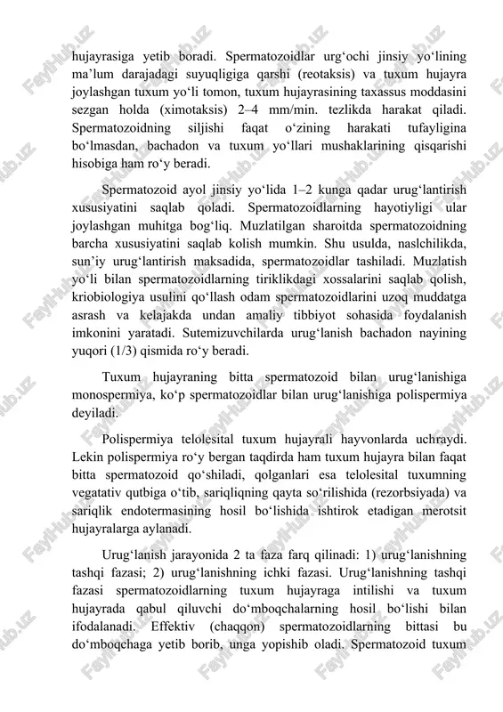 jinsiy yo‘lida 1–2 kunga qadar urug‘lantirish xususiyatini saqlab qoladi. spermatozoidlarning hayotiyligi ular joylashgan muhitga bog‘liq. muzlatilgan sharoitda spermatozoidning barcha xususiyatini saqlab kolish mumkin. shu usulda, naslchilikda, sun’iy urug‘lantirish maksadida, spermatozoidlar tashiladi. muzlatish yo‘li bilan spermatozoidlarning tiriklikdagi xossalarini saqlab qolish, kriobiologiya usulini qo‘llash odam spermatozoidlarini uzoq muddatga asrash va kelajakda undan amaliy tibbiyot sohasida foydalanish imkonini yaratadi. sutemizuvchilarda urug‘lanish bachadon nayining yuqori (1/3) qismida ro‘y beradi. tuxum hujayraning bitta spermatozoid bilan urug‘lanishiga monospermiya, ko‘p spermatozoidlar bilan urug‘lanishiga polispermiya deyiladi. polispermiya telolesital tuxum hujayrali hayvonlarda uchraydi. lekin polispermiya ro‘y bergan taqdirda ham tuxum hujayra bilan faqat bitta spermatozoid qo‘shiladi, qolganlari esa telolesital tuxumning vegatativ qutbiga o‘tib, sariqliqning qayta so‘rilishida (rezorbsiyada) va sariqlik endotermasining hosil bo‘lishida ishtirok etadigan merotsit hujayralarga aylanadi. urug‘lanish jarayonida 2 ta faza farq qilinadi: 1) urug‘lanishning tashqi fazasi; 2) urug‘lanishning ichki fazasi. urug‘lanishning tashqi fazasi spermatozoidlarning tuxum hujayraga intilishi va tuxum hujayrada qabul qiluvchi do‘mboqchalarning hosil bo‘lishi bilan ifodalanadi. …