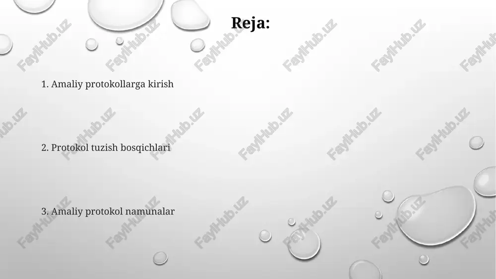 amaliy sathlari protokollari - Page 2