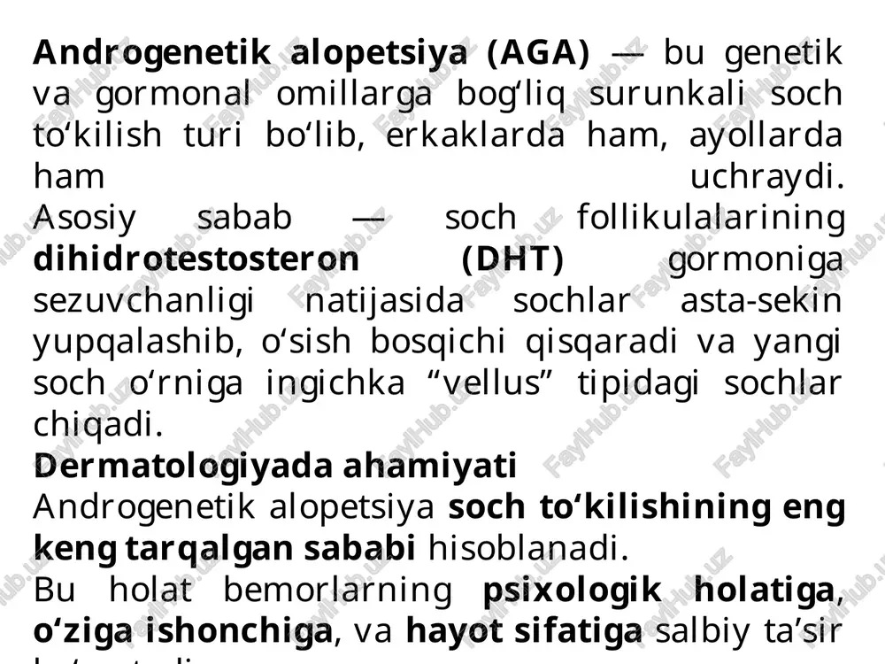 hakka va tepa birikadi; v–vii bosqich – soch faqat ensa va yon tomonlarda qoladi. 👩 ayollardagi androgenetik alopetsiya: asosan tepa (parietal) qismda sochlar siyraklashadi, chakka sohasida esa soch saqlanib qoladi. ludwig shkalasi bo‘yicha 3 bosqichda: i bosqich – tepa sohasida biroz siyraklashish; ii bosqich – siyrak joylar kengayadi; iii bosqich – tepa qismi deyarli ochilib qoladi. diagnostika klinik ko‘rik: soch to‘kilish tarixi, boshlanish vaqti, oilaviy anamnez aniqlanadi. teri holati, seboroik belgilar, soch zichligi baholanadi. 🔍 trikoskopiya: mikroskop ostida soch follikulalari o‘rganiladi: turli diametrdagi sochlar (miniaturizatsiya belgisi), “sariq nuqtalar”, pigment o‘zgarishlari aniqlanadi. laborator tahlillar: testosteron, dht, prolaktin, lh, fsh, tsh kabi gormonlar darajasi aniqlanadi. ayollarda polikistoz tuxumdon sindromi (pcos) belgilari tekshiriladi. 🔬 biopsiya (zarurat bo‘lsa): soch follikulalari soni va morfologiyasi mikroskopik tekshiruvda baholanadi. androgenetik alopetsiya — surunkali, genetik va gormonal omillar bilan bog‘liq holat bo‘lgani uchun to‘liq davolanish odatda mumkin emas, ammo soch to‘kilishini to‘xtatish va yangi soch o‘sishini rag‘batlantirish mumkin. …