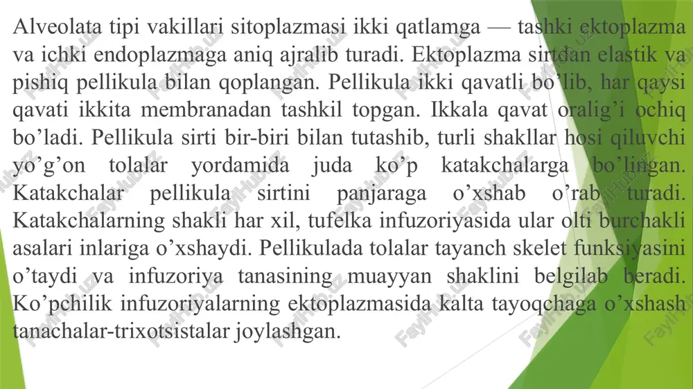 llatlar ham ma'lum. ba'zi turlari marjon poliplari va ikki pallalilarning simbionlaridir. dengizlar va chuchuk suv havzalarida juda keng tarqalgan. ko’pchiligi planktonda hayot kechiradi. tanasi kletchatkadan iborat po’st bilan qoplangan. xivchinlari tanasi markazidan boshlanib, biri-orqaga cho’zilgan, ikkinchisi — tanasi o’rtasini o’rab turadigan belbog’ chuqurchasida joylashgan, bu xivchin bo’ylama xivchinga nisbatan 2-3 marta uzun bo’ladi. mitoxondriya kristalari naycha ko’rinishda bo’ladi. turli vakillardagi xloroplastlar turli xil kelib chiqishga ega va turli xil fotosintetik pigmentlar bilan ajralib turadi. ular odatda sariq-jigarrang rangga ega, chunki ular yashil xlorofillardan tashqari, qo'shimcha pigmentlarga ega - masalan, peridinin. ko’pchilik vakillarida turli yuzilishga ega ko’zcha (stigma) ga ega. osmoregulyatsiya maxsus organellalar - puzulalar tomonidan amalga oshiriladi. ko'pincha otiluvchi tuzilmalar mavjud (trixotsistlar). chuchuk suv vakillari kraxmal, dengiz yashovchi vakillari esa lipidlar va sterollarni saqlaydi.aksariyat vakillar ikki tomonlama yoki assimetrik bo’lib hujayra ichki qobiqqa ega. chuchuk suvlarda seratsium, dengizlarda tun yog’duchasi (noctiluca) keng tarqalgan. tun yog’duchasi bezovta qilinganida sitoplazmasidagi yog’ moddasi …