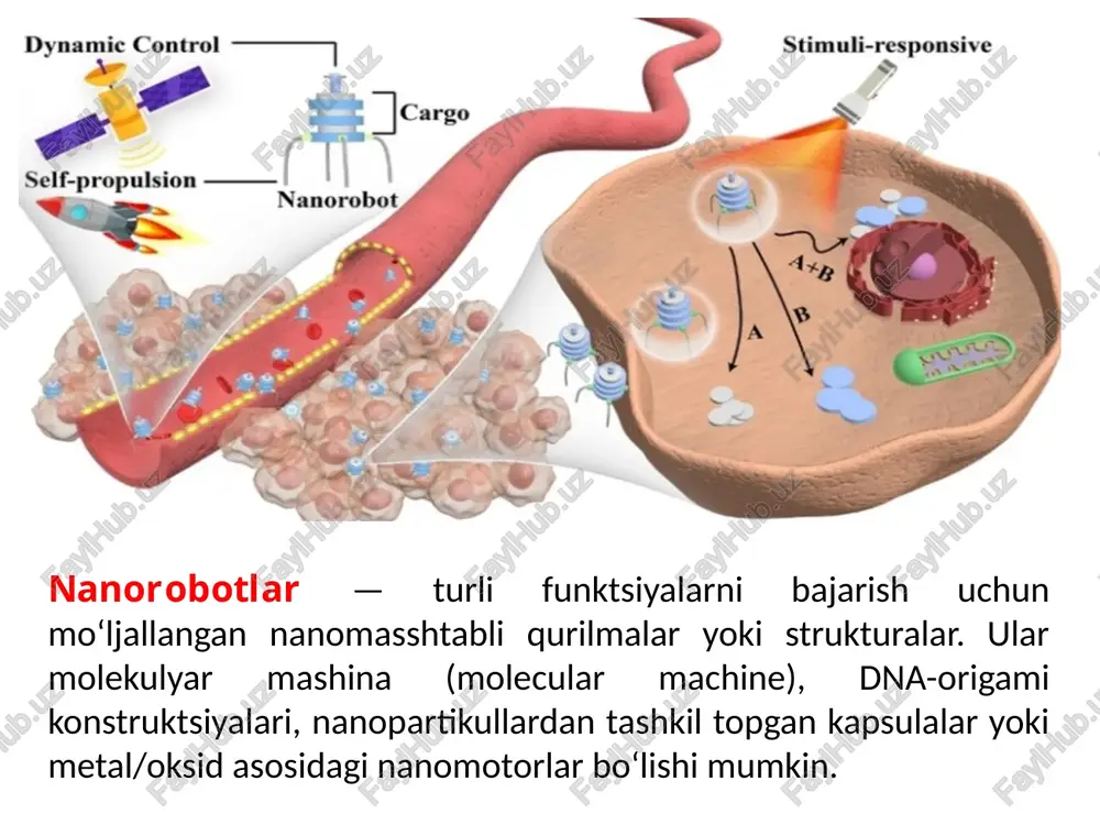 direct asosiy transducer turlari: elektrokimyoviy (elektroda/rezistor o‘zgarishi): yuzaga adsorbsiyalanish natijasida tok/rezistans o‘zgaradi. researchgate optik (fluoresentsiya, surface plasmon resonance): nanopartikullar yoki biosensor yuzalari bilan optik signallar o‘zgaradi. nano-mezo/massaviy sensorlar (qcm, nems): adsorbsiyalangan massa o‘zgarishi rezonans chastotasini o‘zgartiradi. qo‘llanilish: infektsiya diagnostikasi, biomarkerlarni aniqlash (onkologiya), atrof-muhit monitoringi (gazlar, toksinlar), oziq-ovqat xavfsizligi va strukturaviy monitoring (materiallarda nuqson aniqlash). ishlab chiqarish usullari (fabrikatsiya) top-down (yuqoridan pastga): mikro-/nanolitoqrafiya, etching va boshqa yarim o‘tkazgich sanoatiga o‘xshash usullar — aniq geometriyalarni hosil qiladi. bottom-up (pastdan yuqoriga): atom/molekula darajasida o‘zini yig‘ish (self-assembly), kimyoviy sintez, dna-origami — murakkab funksional strukturalarni kimyoviy yo‘l bilan yig‘adi. ko‘plab nanorobot konseptlari bottom-up printsipida yaratiladi (masalan dna konstruktsiyalari). ncbi xarakterizatsiya va tasvirlash asboblar: tem (transmission electron microscopy), sem (scanning em), afm (atomic force microscopy), spektroskopiya (uv-vis, ftir), dinamik nur tarqalishi (dls) va elektr/xromatografik usullar orqali nanostrukturani o‘lchash va xossalarini tahlil qilish muhim. nist xavfsizlik, etik va tartib-qoidalar nano-ehs (environmental, health & safety): injenerlangan nanomateriallar biologik …