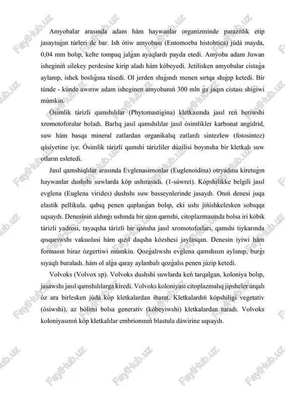 xromotoforalar boladı. barlıq jasıl qamshılılar jasıl ósimlikler karbonat angidrid, suw hám basqa mineral zatlardan organikalıq zatlardı sintezlew (fotosintez) qásiyetine iye. ósimlik tárizli qamshi tárizliler dúzilisi boyınsha bir kletkalı suw otların esletedi. jasıl qamshiqlılar arasında evglenasimonlar (euglenoidina) otryadına kiretuǵın haywanlar dushshı suwlarda kóp ushırasadı. (1-súwret). kópshilikke belgili jasıl evglena (euglena virides) dushshı suw basseynlerinde jasaydı. onıń denesi juqa elastik pellikula. qabıq penen qaplanǵan bolıp, eki ushı jińishkelesken sobıqqa uqsaydı. denesiniń aldınģı ushında bir uzın qamshi, citoplazmasında bolsa iri kóbik tárizli yadrosı, tayaqsha tárizli bir qansha jasıl xromotoforları, qamshi tiykarında qısqarıwshı vakuolasi hám qızıl daqsha kózshesi jaylasqan. denesin iyiwi hám formasın biraz ózgertiwi múmkin. qozǵalıwshı evglena qamshısın aylanıp, burǵı sıyaqlı buraladı. hám ol alǵa qaray aylanbalı qozǵalıs penen júzip ketedi. volvoks (volvox sp). volvoks dushshi suwlarda keń tarqalgan, koloniya bolıp, jasawshı jasıl qamshılılarga kiredi. volvoks koloniyası citoplazmalıq jipsheler arqalı óz ara birlesken júdá kóp kletkalardan ibarat. kletkalardıń kópshiligi vegetativ (ósiwshi), az bólimi …