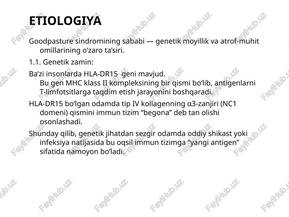 ment kaskadi ishga tushadi (ayniqsa c3, c5 bosqichlari). komplement parchalanish mahsulotlari neytrofillar va makrofaglarni chaqiradi. 2.4. yallig‘lanish va to‘qima parchalanishi: neutrofillar va makrofaglar oksidlovchi radikallar (o₂⁻, h₂o₂) va proteolitik fermentlar ajratadi. bu moddalar kapillyar devorlarni yemirib, qon va plazma oqsillarining chiqishiga sabab bo‘ladi. natija: buyrakda — glomerulonefrit (qon, oqsil, silindrlar siydikka o‘tadi). o‘pkada — alveolyar qon ketish (nafas qisishi, qon tupurish). klinik kechish 3.1. o‘pka zararlanishi: o‘pkadagi kapillyarlar devori yemiriladi → alveolalarga qon sizadi. dastlab bemor quruq yo‘tal, nafas qisishi, keyin qon tupurish (gemoptiziya) bilan murojaat qiladi. qon ketish katta bo‘lsa, alveolyar tutilish va og‘ir gipoksemiya (kislorod tanqisligi) rivojlanadi. 3.2. buyrak zararlanishi: glomerulalar yallig‘lanadi va shikastlanadi → tez rivojlanadigan glomerulonefrit yuz beradi. dastlab mikroskopik gematuri, so‘ng oqsil siydikda, arterial bosim ko‘tarilishi, kreatinin oshishi kuzatiladi. tezda oliguriya yoki anuriya (siydik chiqmasligi) va buyrak yetishmovchiligi rivojlanadi. 3.3. umumiy belgilari: isitma, holsizlik, ozish, ba’zan bo‘g‘im og‘rishlari. kasallik bir necha hafta ichida og‘irlashadi — …