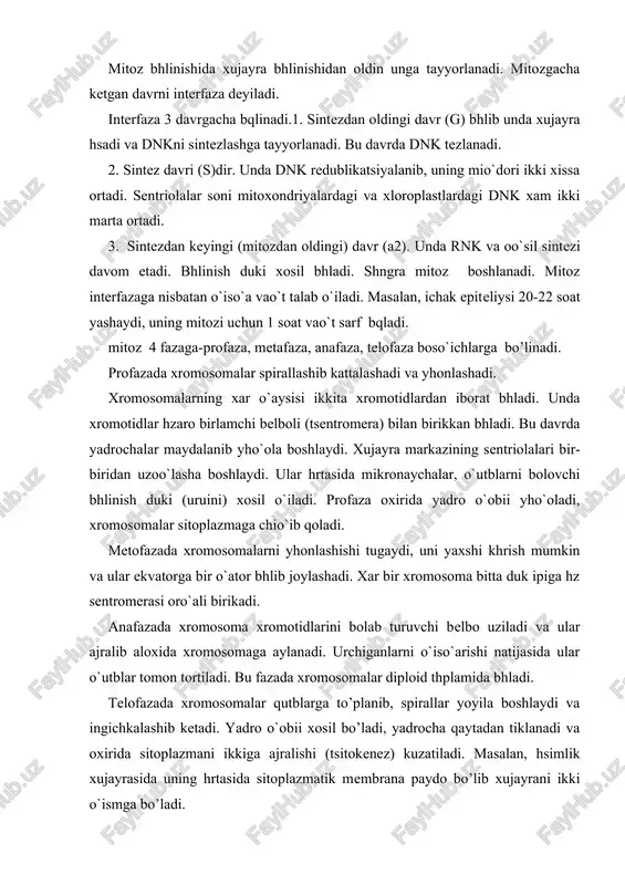 20-22 soat yashaydi, uning mitozi uchun 1 soat vao`t sarf bqladi. mitoz 4 fazaga-profaza, metafaza, anafaza, telofaza boso`ichlarga bo’linadi. profazada xromosomalar spirallashib kattalashadi va yhonlashadi. xromosomalarning xar o`aysisi ikkita xromotidlardan iborat bhladi. unda xromotidlar hzaro birlamchi belboli (tsentromera) bilan birikkan bhladi. bu davrda yadrochalar maydalanib yho`ola boshlaydi. xujayra markazining sentriolalari bir-biridan uzoo`lasha boshlaydi. ular hrtasida mikronaychalar, o`utblarni bolovchi bhlinish duki (uruini) xosil o`iladi. profaza oxirida yadro o`obii yho`oladi, xromosomalar sitoplazmaga chio`ib qoladi. metofazada xromosomalarni yhonlashishi tugaydi, uni yaxshi khrish mumkin va ular ekvatorga bir o`ator bhlib joylashadi. xar bir xromosoma bitta duk ipiga hz sentromerasi oro`ali birikadi. anafazada xromosoma xromotidlarini bolab turuvchi belbo uziladi va ular ajralib aloxida xromosomaga aylanadi. urchiganlarni o`iso`arishi natijasida ular o`utblar tomon tortiladi. bu fazada xromosomalar diploid thplamida bhladi. telofazada xromosomalar qutblarga to’planib, spirallar yoyila boshlaydi va ingichkalashib ketadi. yadro o`obii xosil bo’ladi, yadrocha qaytadan tiklanadi va oxirida sitoplazmani ikkiga ajralishi (tsitokenez) kuzatiladi. masalan, hsimlik xujayrasida …