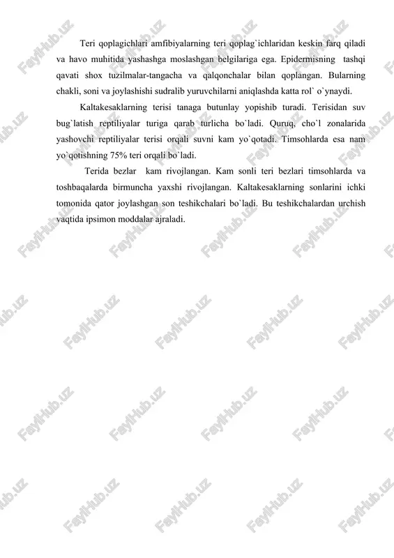 hqi qavati shox tuzilmalar-tangacha va qalqonchalar bilan qoplangan. bularning chakli, soni va joylashishi sudralib yuruvchilarni aniqlashda katta rol` o`ynaydi. kaltakesaklarning terisi tanaga butunlay yopishib turadi. terisidan suv bug`latish reptiliyalar turiga qarab turlicha bo`ladi. quruq, cho`l zonalarida yashovchi reptiliyalar terisi orqali suvni kam yo`qotadi. timsohlarda esa nam yo`qotishning 75% teri orqali bo`ladi. terida bezlar kam rivojlangan. kam sonli teri bezlari timsohlarda va toshbaqalarda birmuncha yaxshi rivojlangan. kaltakesaklarning sonlarini ichki tomonida qator joylashgan son teshikchalari bo`ladi. bu teshikchalardan urchish vaqtida ipsimon moddalar ajraladi.
