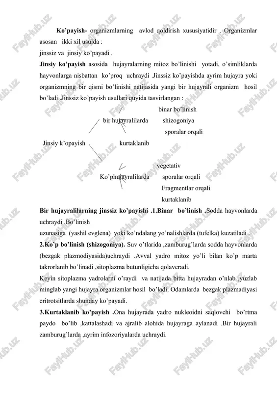 b ,yuzlab minglab yangi hujayra organizmlar hosil bo’ladi. odamlarda bezgak plazmadiyasi eritrotsitlarda shunday ko’payadi. 3.kurtaklanib ko’payish .ona hujayrada yadro nukleoidni saqlovchi bo’rtma paydo bo’lib ,kattalashadi va ajralib alohida hujayraga aylanadi .bir hujayrali zamburug’larda ,ayrim infozoriyalarda uchraydi. 4.sporalar hosil qilib ko’payish,sodda hayvonlarda bir hujayrali zamburug’larda , suv o’tlarida ,yashil o’simliklarda kuzariladi .spora ichida hujayra ko’p marta mitoz usuli bilan bo’linadi . ko’p hujayralilarda jinssiz ko’payish . 1.vegetativ ko’payish . o’simliklar olamida keng tarqalgan . o’simliklarning jingalaklari ,ildiz bachkisi , bachki novdalari ,piyozlari ,tugunaklari va ildiz poyalari ,barglari orqali ko’payish vegetativ ko’payishga misol bo’ladi . 2.kurtaklanib ko’payish.tuban ko’p hujayralilarda (g’ovak tanlilarda kovakichiklarda,ayrim chuvalchanglarda kuzatiladi. 3.poliembrional ko’payish. bunda zigotaning eng dastlabki maydalanishida hosil bo’lgan hujayralar bir-biridan ajralib qolishi natijasida mustaqqil rivojlanib, har qaysi alohida organizmlarni hosil qiladi. natijada bir tuxumli egizaklar paydo bo’ladi. odamlarda bir tuxumdan 2-8 gacha egizaklar rivojlanishi mumkin. ular ularning hammasi bir xil jinsli bo’ladi. 4.sporalar orqali ko’payish. o’simliklarda uchraydi. …