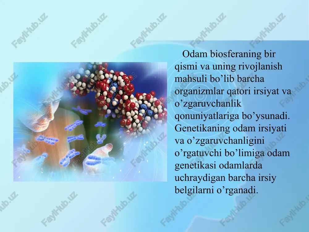 o’ladi. barmoqlar uchida hosil bo’lgan naqshlar esa, har bir irqqa mansub kishilarda o’ziga xos ko’rinishga ega. adabiyotlar g’afurov a. t. darvinizm toshkent, o’qituvchi1992 yil. vorontsov n. p., suxorukova l.n. evolyutsionnaya organicheskogo mira. m. prosveshenie 1991 to’raqulov yo. x. malekulyar biologiya. toshkent, o’qituvchi1993 yil iordanskis n. n. evolyutsiya jizni. m.izdatelskiy tsentr “akademiya” 2001 inge-vechtomov s.g. genetika s osnovami selektsii. moskva., «vsshaya shkola», 1989 g. lobashev m.ye., vatti k.v., tixamirova m.m. genetika s osnovami selektsii. moskva, «prosveshenie», 1979 god. image10.png image11.jpeg image12.jpeg image13.jpeg image14.jpeg image15.jpeg image16.jpeg image17.jpeg image18.jpeg image1.jpeg image2.jpeg image3.jpeg image4.jpeg image5.jpeg image6.jpeg image7.jpeg image8.jpeg image9.jpeg 104707616 /docprops/thumbnail.jpeg