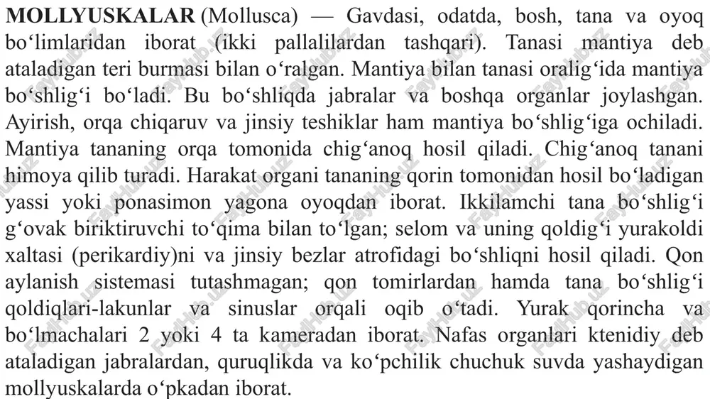 ng bosh nerv tuguni kuchli rivojlanib, bosh miyani hosil qiladi (boshoyoqlilar). faol hayot kechiruvchi turlarida sezgi organlari (koʻzlar, paypaslagichlar) rivojlangan. odatda 5 juft gangliya mavjud: serebral (ko'zlar va paypaslagichlarni innervatsiya qilish), oyoq (pedal), plevra (mantiya), parietal (nafas olish va osfradiya organlari) va visseral (ichki organlar). ba'zida bukkal ganglionlar ham ajralib turadi, ular tomoqni innervatsiya qiladi. serebral, oyoq va visseral gangliyalar ko'ndalang nerv tolalari — komissuralar bilan bog'langan. deyarli barcha gangliyalar ichak ostida joylashgan, faqat qizilo'ngach ustida joylashgan serebral gangliyalari bundan mustasno. oyoq gangliyalari qizilo'ngach ostida joylashgan bo'lib, ularni miya gangliyalari bilan bog'laydigan komissuralari va ulanishlari qizilo'ngach atrofida asab halqasini hosil qiladi. miya bo'lgan turlarda u qizilo'ngachni halqa bilan o'rab oladi . yonbosh nervlilar (amphineura) kenja tipi bu kenja tipga bir necha mm dan 35 sm gacha kattalikdagi ikki yonlama simmetriyali mollyuskalar kiradi. ichki tana xaltasi bo'lmaydi. mantiya kutikulasi sirtdan ohak tangachalar bilan qoplangan. ko‘pchilik mollyuskalaming tanasini orqa tomondan o‘zaro harakatchan …
