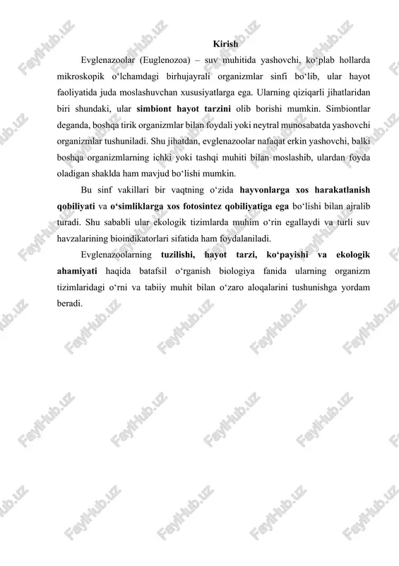 moslashuvchan himoya vazifasini bajaradi. yoqa (flagella) – tananing old qismidan chiqqan yagona flagella harakatlanish va oziq moddalarni qabul qilishda muhim rol o‘ynaydi. vakuolalar – ichki suyuqlik muvozanatini saqlash, ortiqcha suv va moddalarni chiqarish, shuningdek osmotik bosimni tartibga solish vazifasini bajaradi. plastidlar – xlorofillga ega bo‘lib, fotosintez jarayonini amalga oshiradi va energiya hosil qiladi; bu evglenazoolarga autotrof oziqlanish imkonini beradi. maxsus organellari va ularning vazifalari pulsatsion vakuola – ortiqcha suvni chiqarib, hujayraning osmotik muvozanatini saqlaydi. yadro – genetik materialni saqlaydi va hujayra bo‘linishi, hayotiy jarayonlarni boshqaradi. seytoplazmatik skelet elementlari – tananing shaklini saqlash va flagellaning harakatlanishini qo‘llab-quvvatlashda ishtirok etadi. simbiont hayotga moslashgan tuzilish xususiyatlari tanasi va organellari mezbon organizm ichidagi sharoitga moslashgan bo‘lib, ba’zi turlarda plastidlar soni yoki shakli o‘zgaradi. harakatlanish va oziqlanish organellari (flagella, vakuolalar) simbiont hayotda samarali ishlashga moslashgan. simbiont shakllarda yuzaga keladigan morfologik o‘zgarishlar evglenazoolarning ekologik moslashuvchanligini oshiradi. 2. hayot tarzi va harakatlanishi evglenazoolar suv muhitida yashovchi birhujayrali …