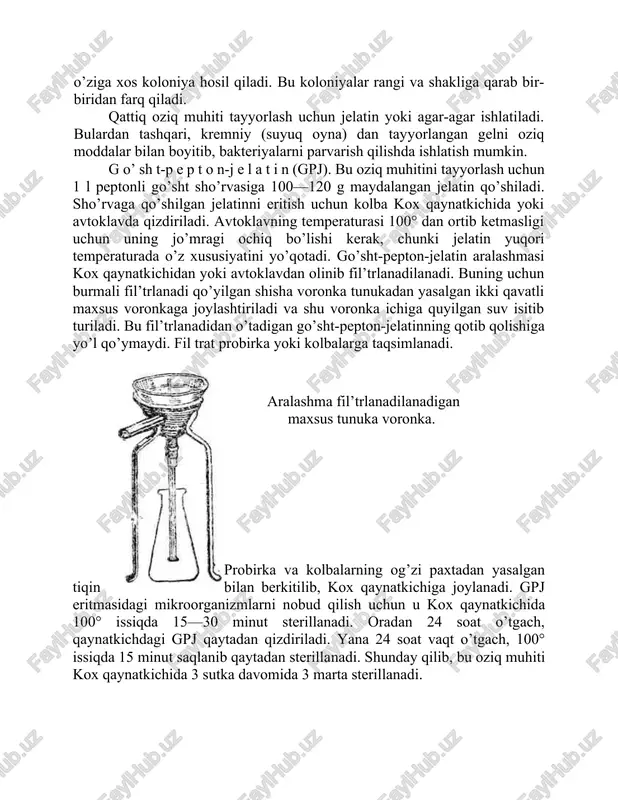 u oziq muhiti sifatida ishlatiladi. bakteriyalarning turini aniqlashda va ularni bir-biridan ajratishda suyuq oziq muhiti (go’sht-peptonli sho’rva) unchalik qulay bo’lmaganligidan, odatda, kam ishlatiladi. buning o’rniga jelatin yoki agar-agar qo’shilgan qattiq oziq muhitidan foydalaniladi. qattiq oziq muhiti sathida har qaysi bakteriya o’ziga xos koloniya hosil qiladi. bu koloniyalar rangi va shakliga qarab bir-biridan farq qiladi. qattiq oziq muhiti tayyorlash uchun jelatin yoki agar-agar ishlatiladi. bulardan tashqari, kremniy (suyuq oyna) dan tayyorlangan gelni oziq moddalar bilan boyitib, bakteriyalarni parvarish qilishda ishlatish mumkin. g o’ sh t-p e p t o n-j e l a t i n (gpj). bu oziq muhitini tayyorlash uchun 1 l peptonli go’sht sho’rvasiga 100—120 g maydalangan jelatin qo’shiladi. sho’rvaga qo’shilgan jelatinni eritish uchun kolba kox qaynatkichida yoki avtoklavda qizdiriladi. avtoklavning temperaturasi 100° dan ortib ketmasligi uchun uning jo’mragi ochiq bo’lishi kerak, chunki jelatin yuqori temperaturada o’z xususiyatini yo’qotadi. go’sht-pepton-jelatin aralashmasi kox qaynatkichidan yoki avtoklavdan olinib fil’trlanadilanadi. buning …