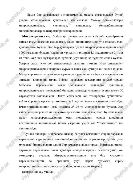 n ayrim mikroorganizmlarni konga utkazmaydi, ya'ni u tusik (barer) vazifasini ham utaydi. kiprikchalar. tashki kurinishdan mayda tukchalarga uxshagan bulib tebranuvchi epiteliy hujayralarning apikal kismi yuzasini koplab turadi. ularning soni 250-300 taga etadi. kiprikchalar xuddi protoplazmatik usimtalarga uxshab, tashki tomondan hujayra apikal kismida membrana bilan koplangan buladi. kiprichalar uziga xos morfologik tuzilishga ega. ularning kundalang kesimi mikroskopda kurilganda markazda bir juft, periferik kismida esa 9 juft mikronaychalar borligi aniklangan. elektron mikroskop yordamida urganilganda ular hujayra tsitoplazmasining apikal kismida joylashgan bazal tanachalar bilan bevosita tutashganligi ma'lum buldi. kiprikchalarning uzunligi buylab mikronaychalar utgan bulib, ular kundalang kesimining ulchami 200-250 a0 ni tashkil kiladi. mikronaychalarning ikkitasi,odatda, kiprikchaning urtasida, kolgan tukkiz jufti chekka kismida joylashgan buladi (24-rasm). ayrim umurtkasiz va tuban hayvonlarda bazal tanachalar tolachalar hosil kilib, ular yigindisi epiteliy hujayra tsitoplazmasining ichki kismida hilpillovchi kiprikchalar ildizini hosil kiladi. odatda, kiprikchalar uzluksiz tez harakatlanib turadi. kiprikchalarning asosiy vazifasi: nafas yullaridagi havonii tozalab, ilitib berishdan, havo …