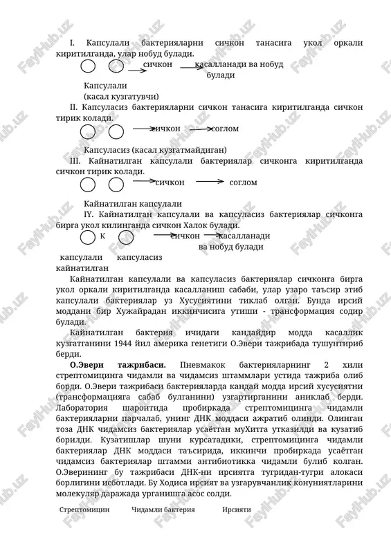 tik o.everi bakteriyalar ustida olib borgan tajribalarda aniklandi. griffits tajribasi: upka shamollashi yukumli pnevmoniya kasalligiga sabab buladigan pnevmakok diplococcus pneutoniae bak-teriyalarining ikki xili: maxsus kobikka uralgan (kapsulali - s shtamm) kasal kuzgatuvchi va kobiksiz (r-shtamm- kapsulasiz) kasal kuzgatmaydigan shtammlar ustida tajriba olib bordi. u soglom sichkonlarga shu 2 xil bakteriyalarni ukol orkali kiritadi: i. kapsulali bakteriyalarni sichkon tanasiga ukol orkali kiritilganda, ular nobud buladi. sichkon kasallanadi va nobud buladi kapsulali (kasal kuzgatuvchi) ii. kapsulasiz bakteriyalarni sichkon tanasiga kiritilganda sichkon tirik koladi. sichkon soglom kapsulasiz (kasal kuzgatmaydigan) iii. kaynatilgan kapsulali bakteriyalar sichkonga kiritilganda sichkon tirik koladi. sichkon soglom kaynatilgan kapsulali iy. kaynatilgan kapsulali va kapsulasiz bakteriyalar sichkonga birga ukol kilinganda sichkon xalok buladi. k sichkon kasallanadi va nobud buladi kapsulali kapsulasiz kaynatilgan kaynatilgan kapsulali va kapsulasiz bakteriyalar sichkonga birga ukol orkali kiritilganda kasallanish sababi, ular uzaro ta'sir etib kapsulali bakteriyalar uz xususiyatini tiklab olgan. bunda irsiy moddani bir xujayradan ikkinchisiga utishi …